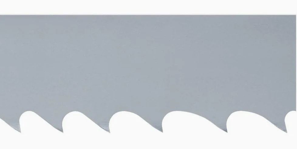 Piła taśmowa MARATHON M42, 2-3 zęby 4400x34x1,1mm WIKUS