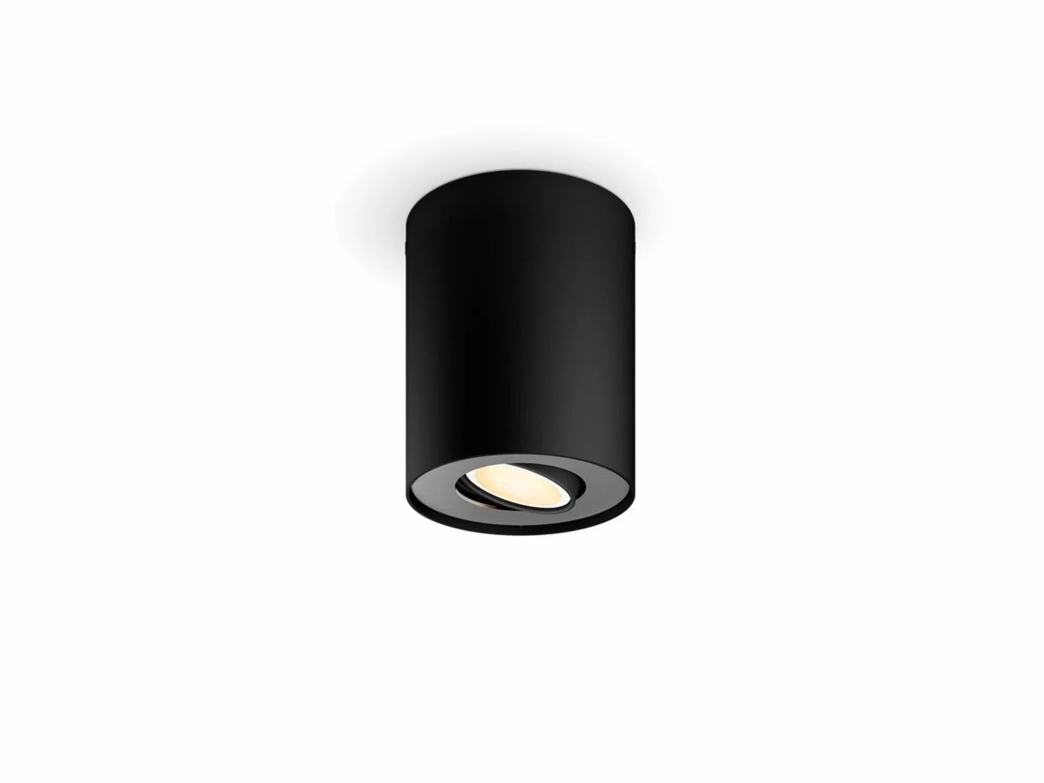 Pillar Hue Single Spot Black 1x5W 230V