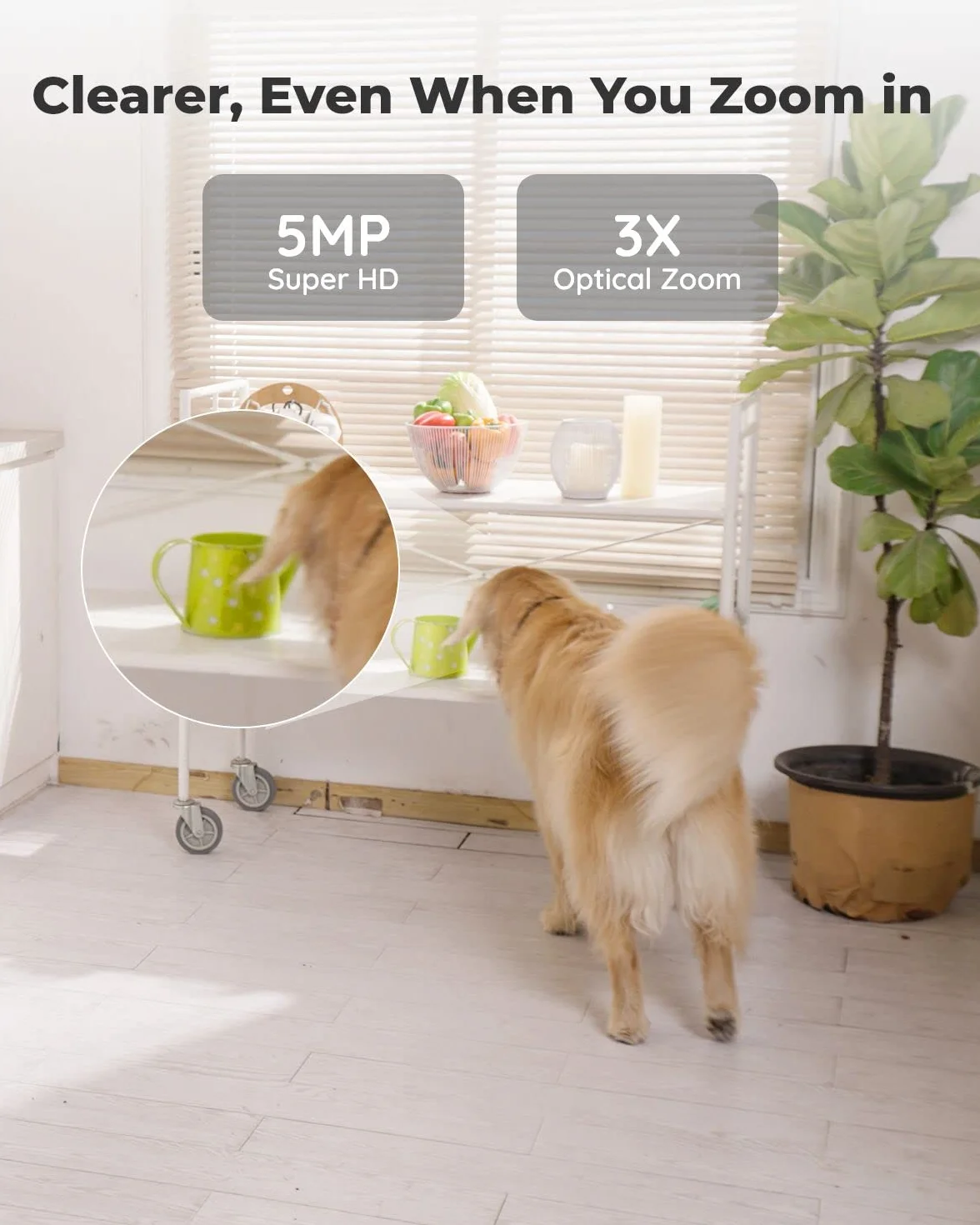 Reolink 5MP PTZ Wewnętrzna Kamera WiFi, 2.4/5 GHz, Detekcja AI Osób/Zwierząt, Auto-Śledzenie, 3X Zoom, 2-kierunkowe Audio, E1 Zoom