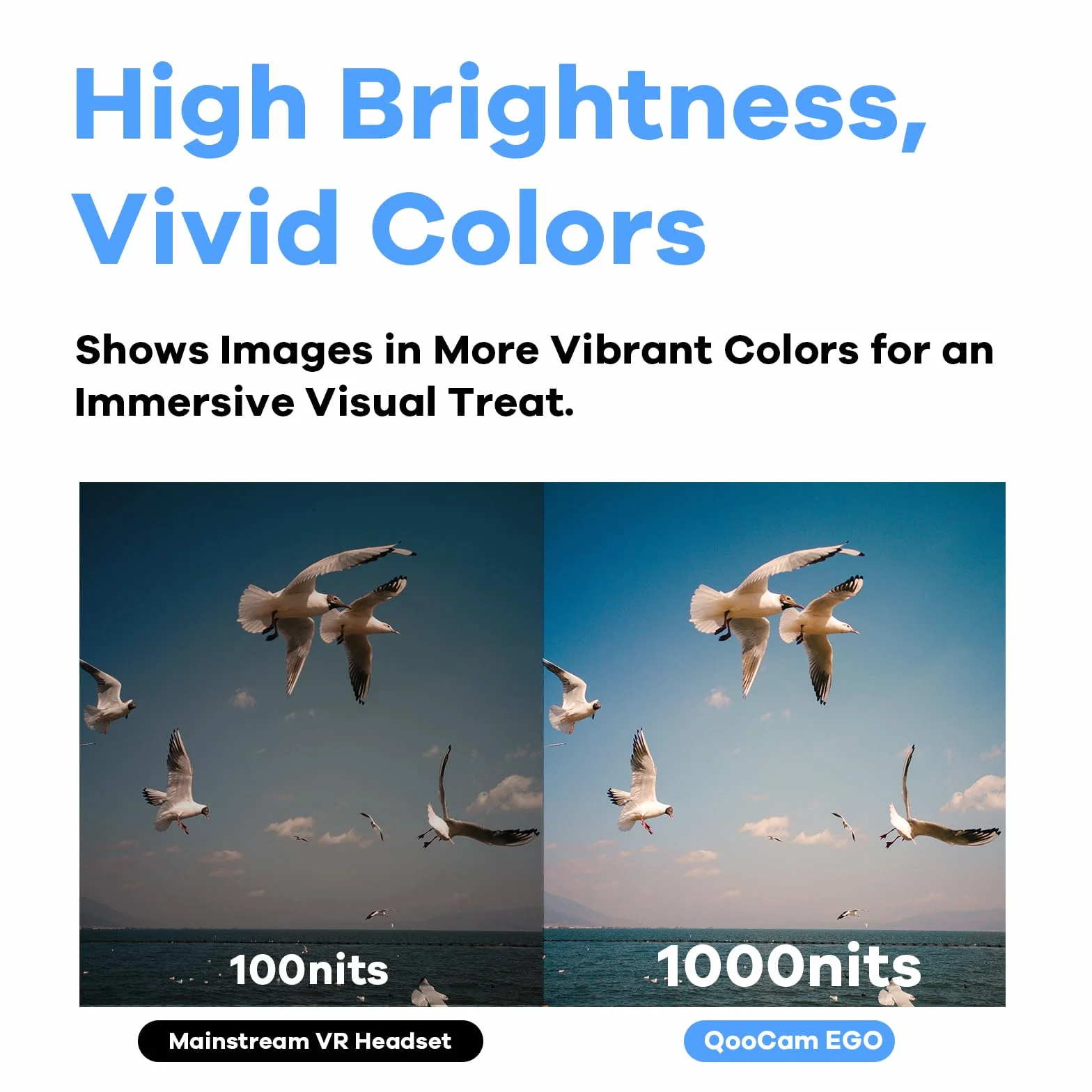 Kandao QooCam EGO Aparat 3D czarny