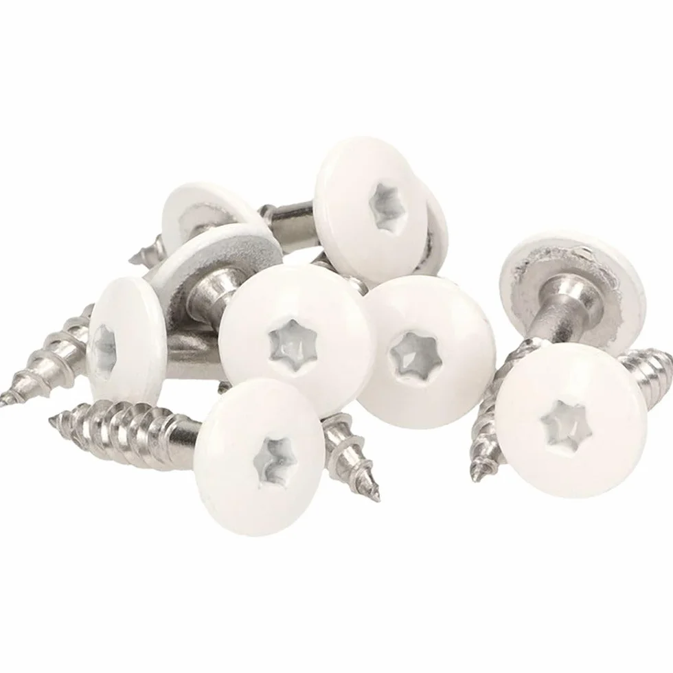 100 x MEISTERLING® śruby fasadowe INOX V4A 5,5 x 25 mm – łeb płaski Torx T20 + 1 bit – biały