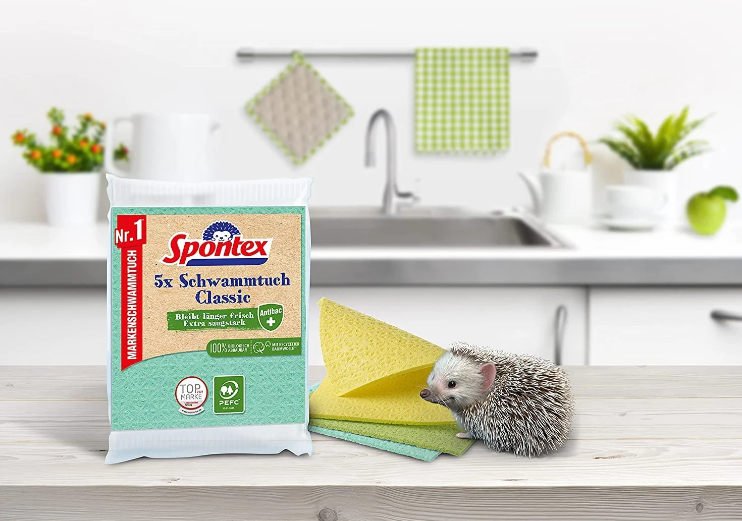 Spontex Gąbka Classic 5 sztuk