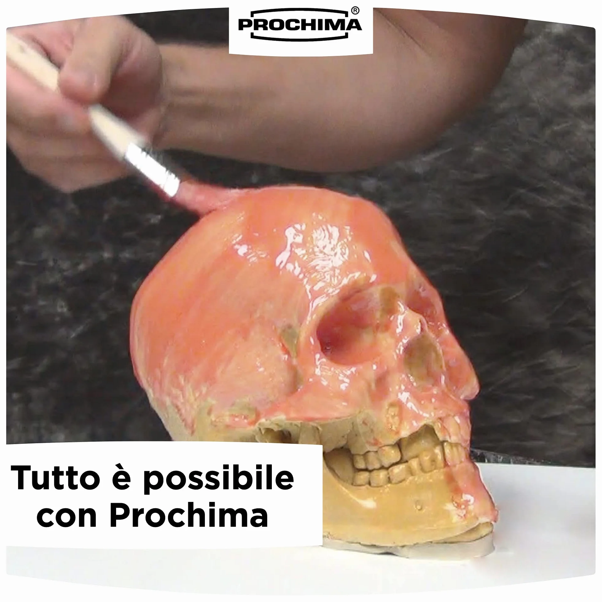 Prochima Em501K5 lateks 1 kg