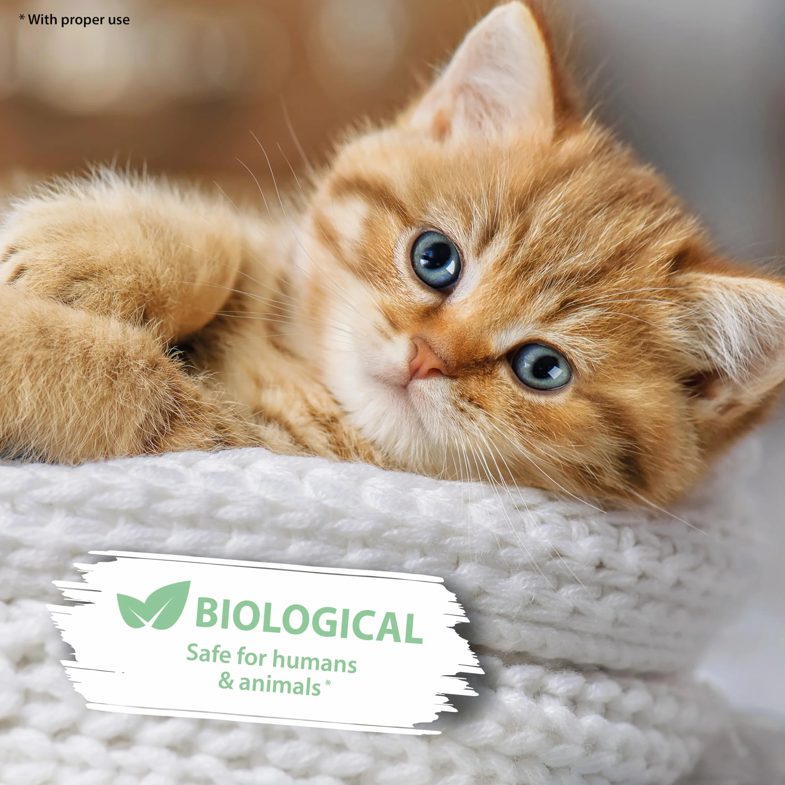 ARKA - PIPI-Weg Cat | Biologiczny środek do usuwania zapachów i czyszczenia plam na dywanie, kanapie, tapicerce i podłodze | Usuwa koci mocz, kał, wymiociny i ślinę | Zawartość: 750ml