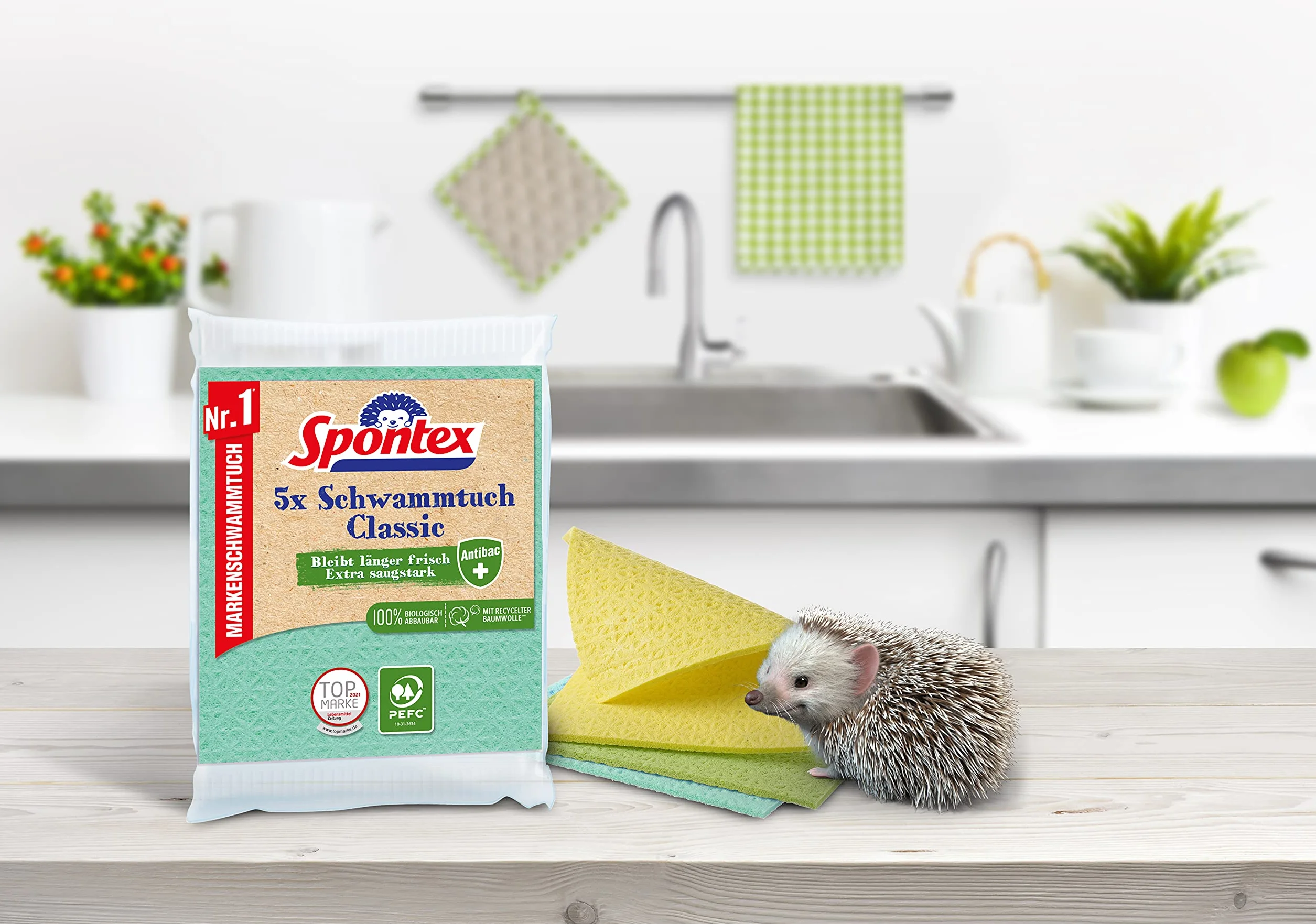 Spontex Gąbka Classic 5 sztuk