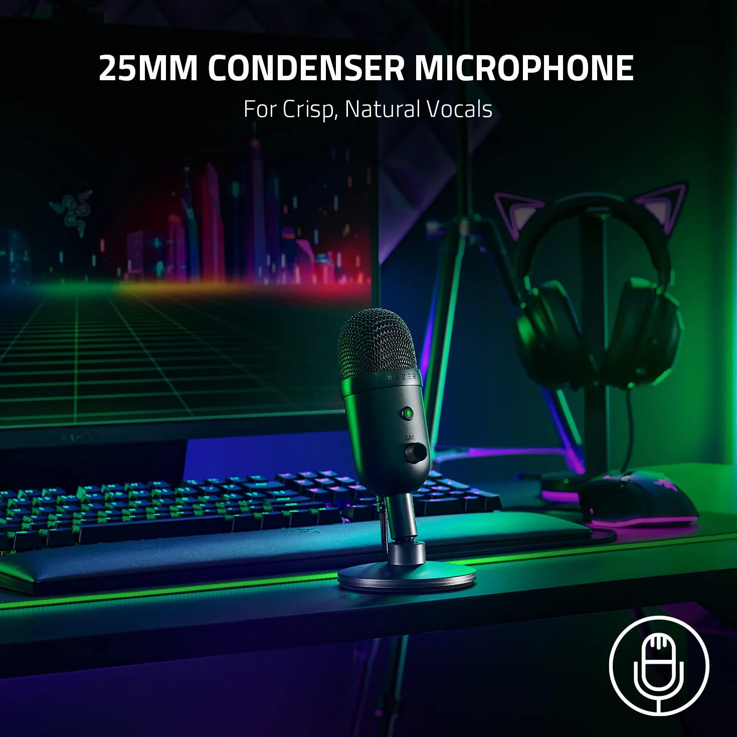 Razer Seiren V2 X USB Condenser Microphone Supercardioid Digital Limiter Mic Monitoring Gain Control
