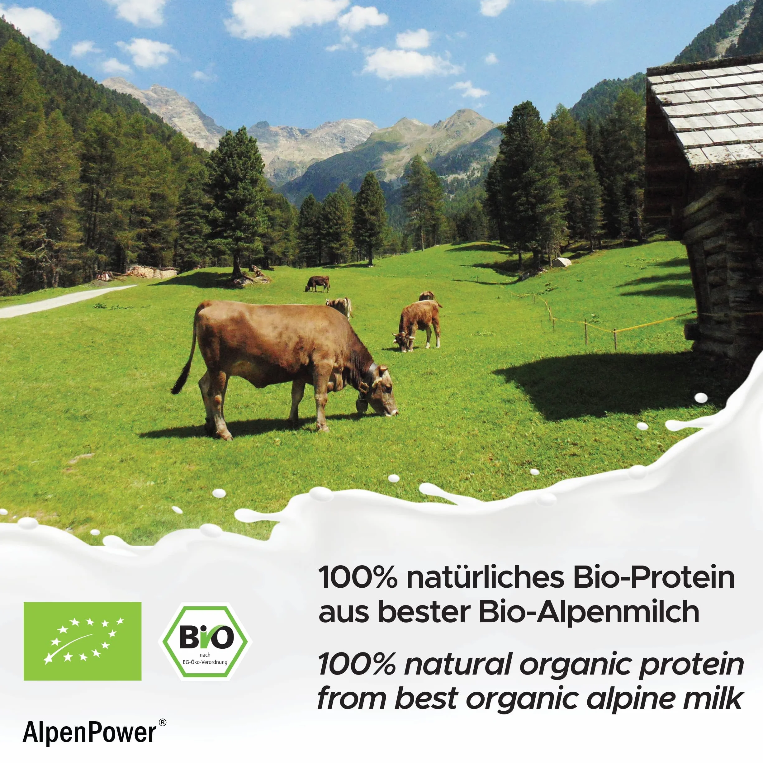 AlpenPower Bio WHEY Protein Vanilla 1 kg – 100% naturalne składniki i bez dodatków – wysokiej jakości białko CFM w proszku z najlepszego ekologicznego mleka alpejskiego