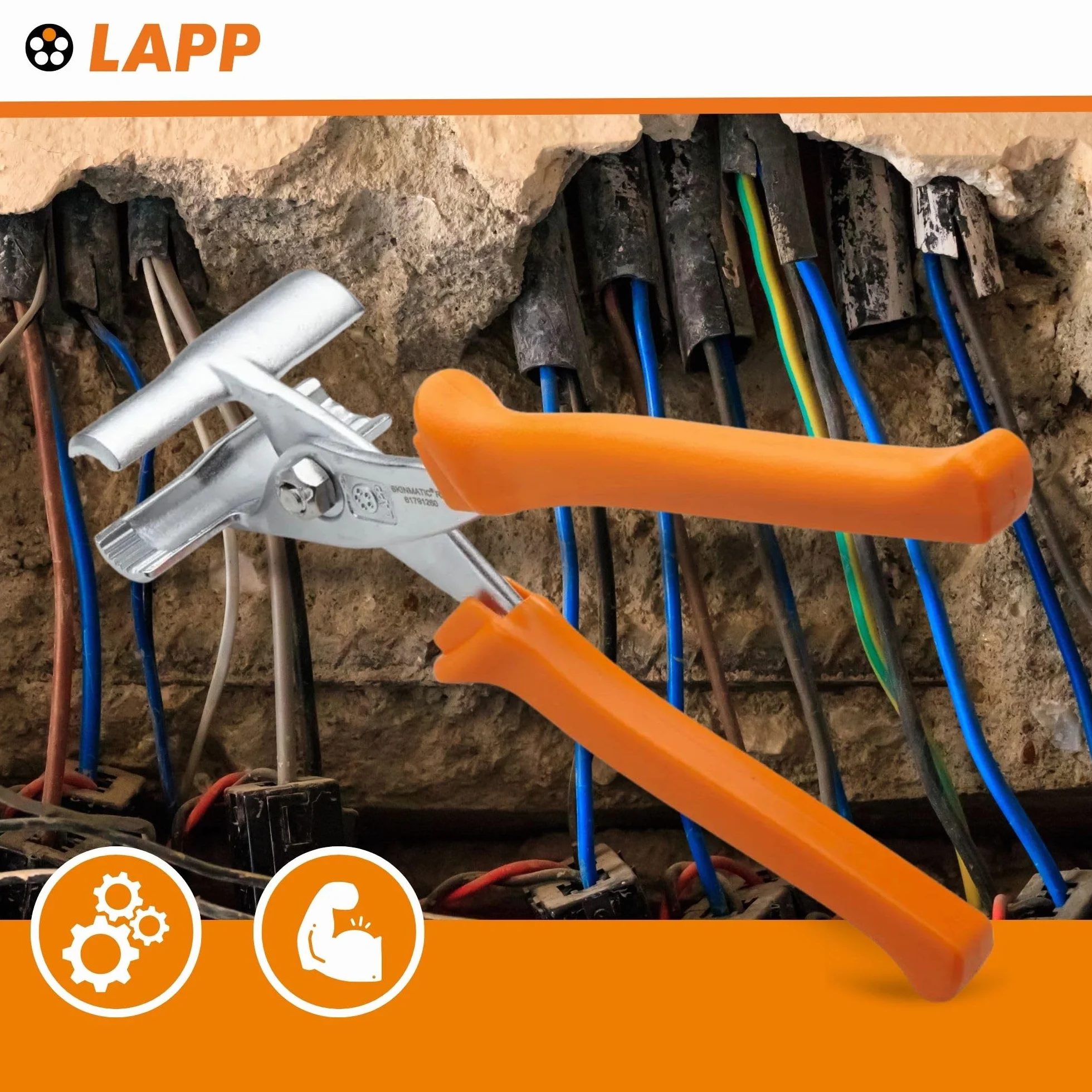 Zacisk montażowy LAPP 61791260 metal 1 szt