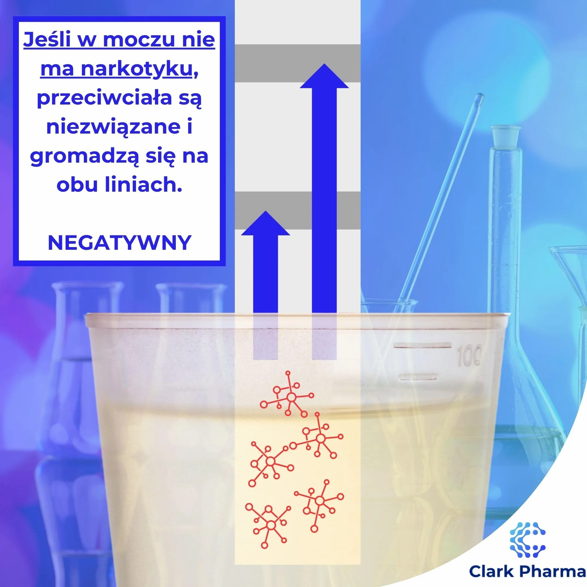 20 x Testy Paskowe na Amfetaminę | Testy Moczowe na Amfetaminę | Zestaw do Wykrywania Narkotyków typu Speed i Uppers