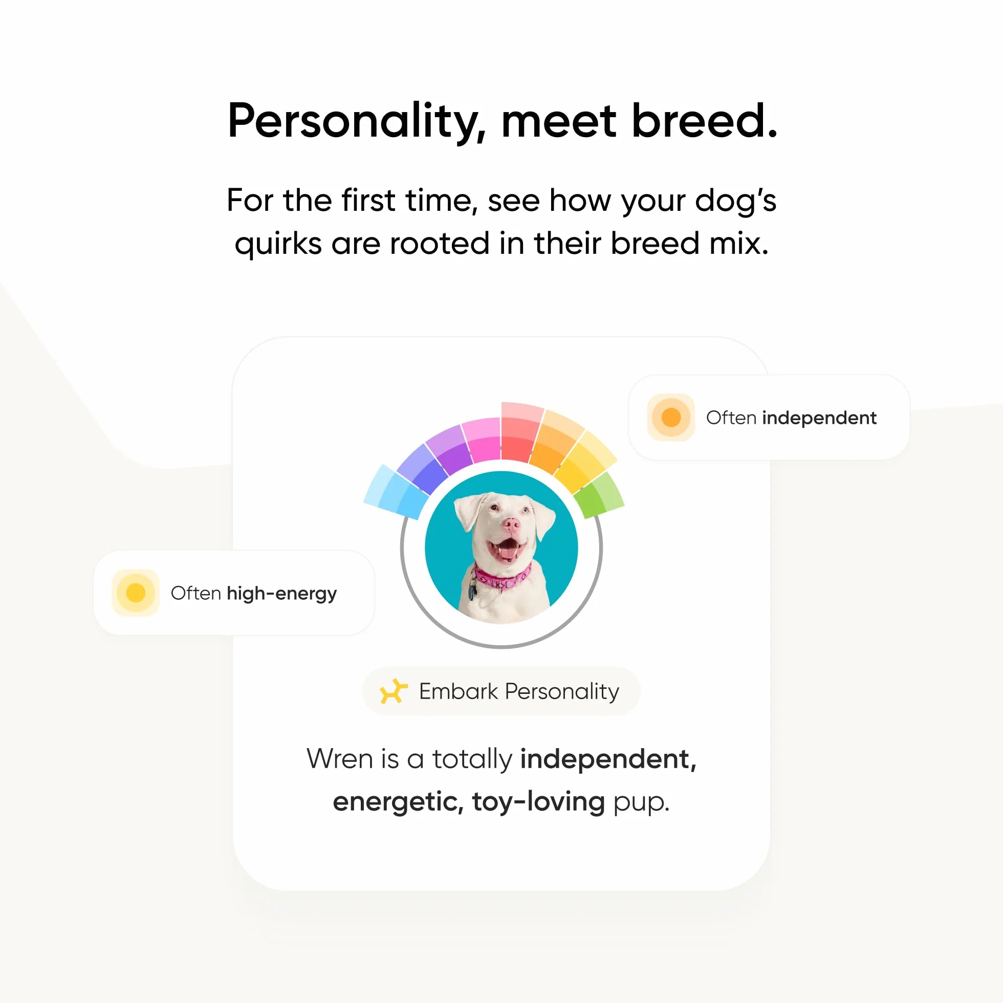 Embark Test DNA dla psów, zestaw do identyfikacji ras