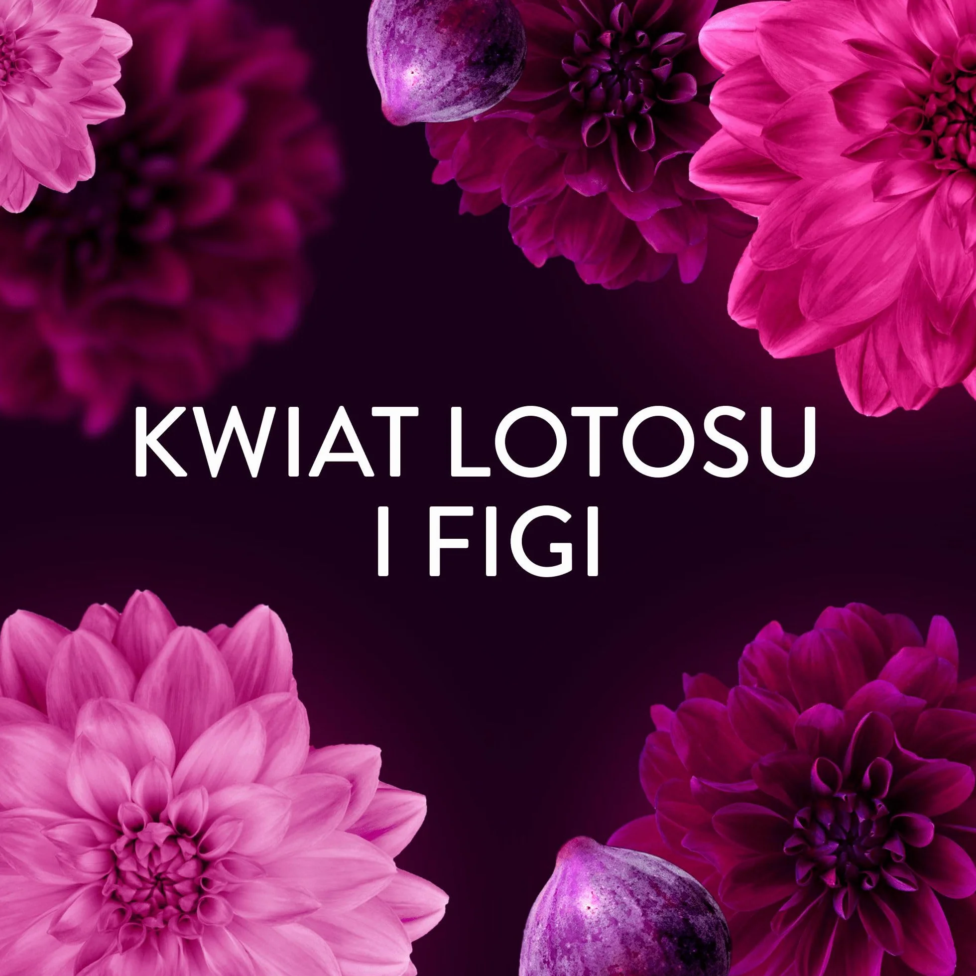 Lenor płyn do płukania tkanin, 59 prań, Lotus Flower & Diamond Figs, kolekcja Perfume Therapy zapewniająca 3 razy dłużej utrzymujący się zapach