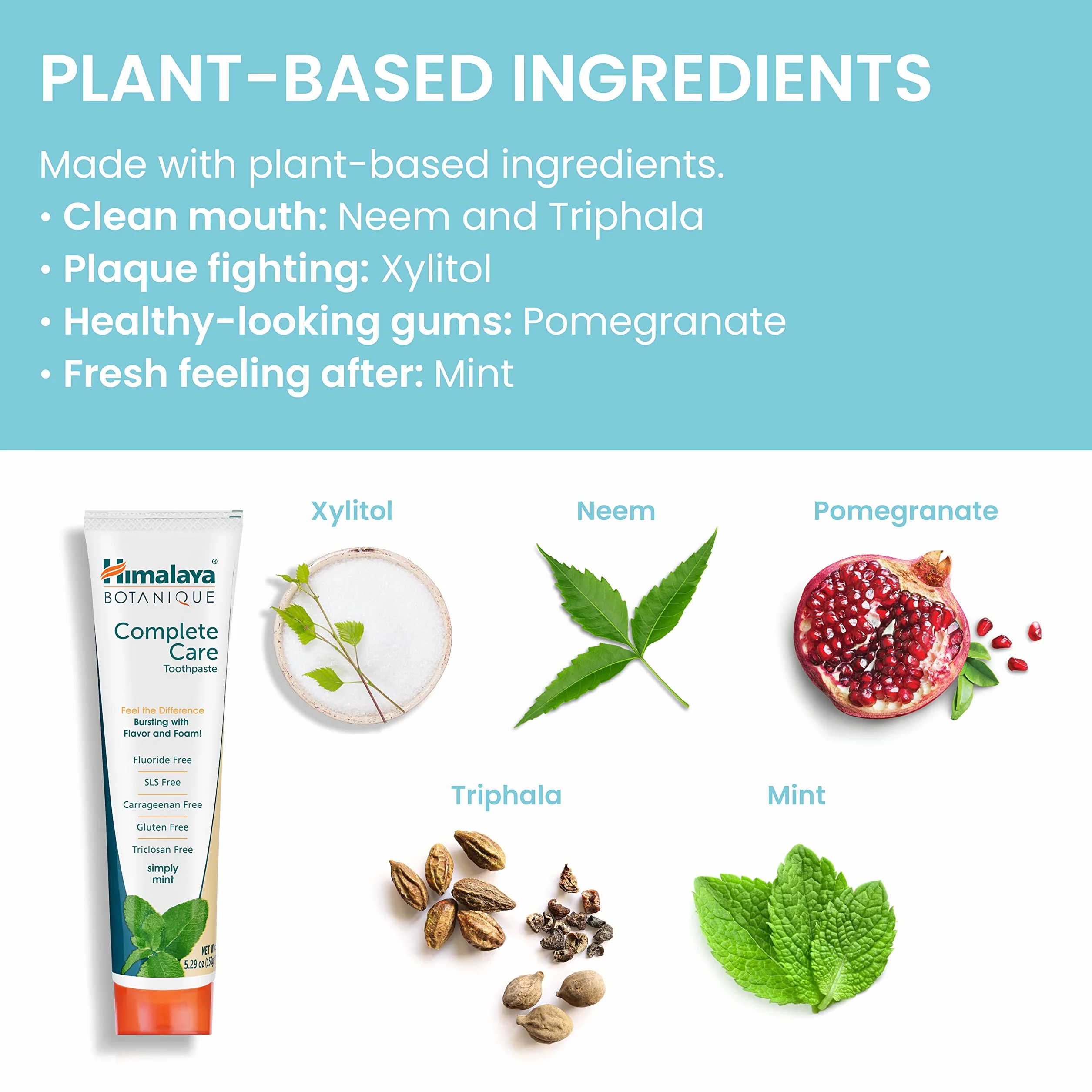 Himalaya Botanique Simply Mint Complete Care Zielarski Zębów Pasta 150 g