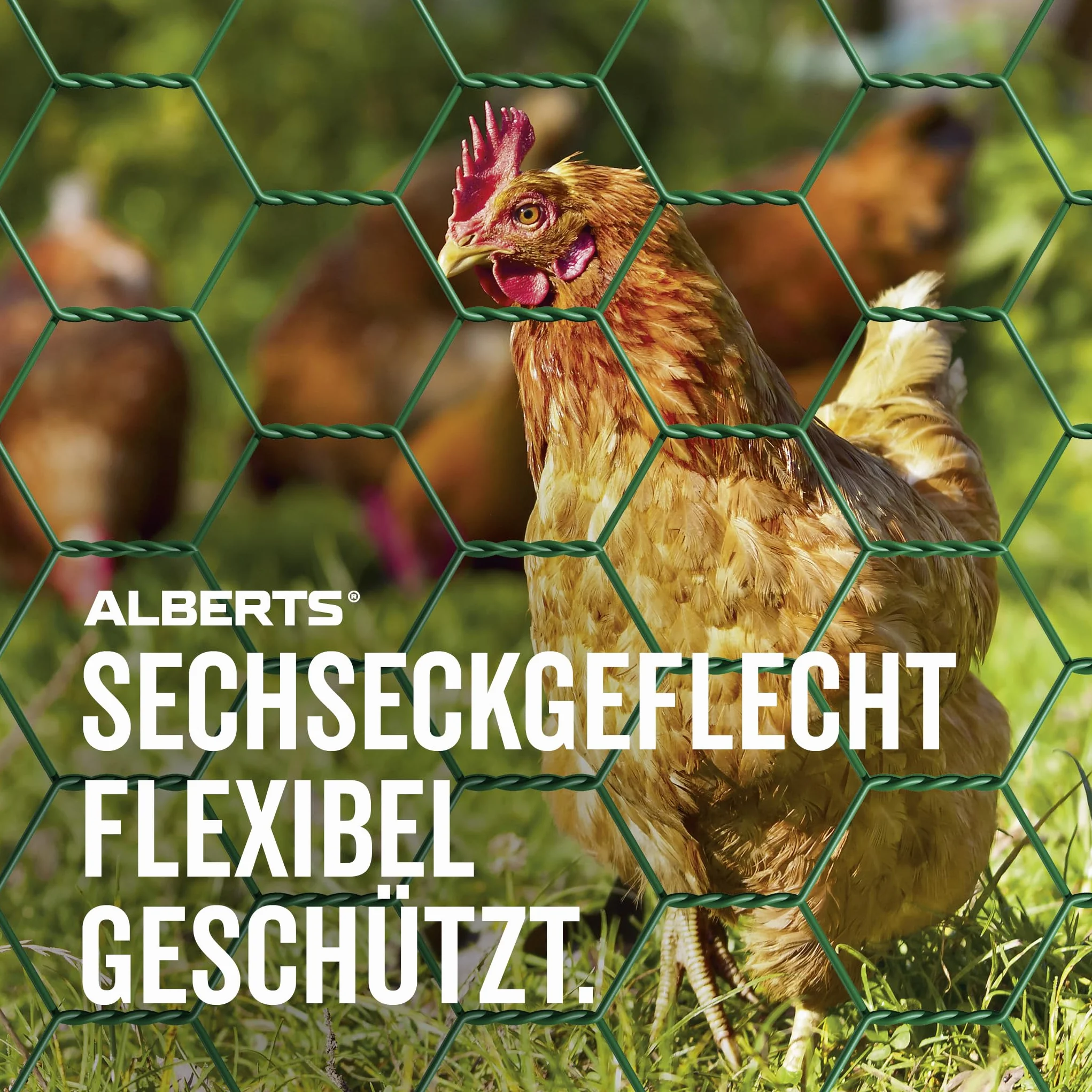 Alberts 614232 Siatka heksagonalna | różne długości i wysokości - opcjonalnie w różnych kolorach | zielona | oczka 25 x 25 mm | wysokość 50 cm | długość 25 m