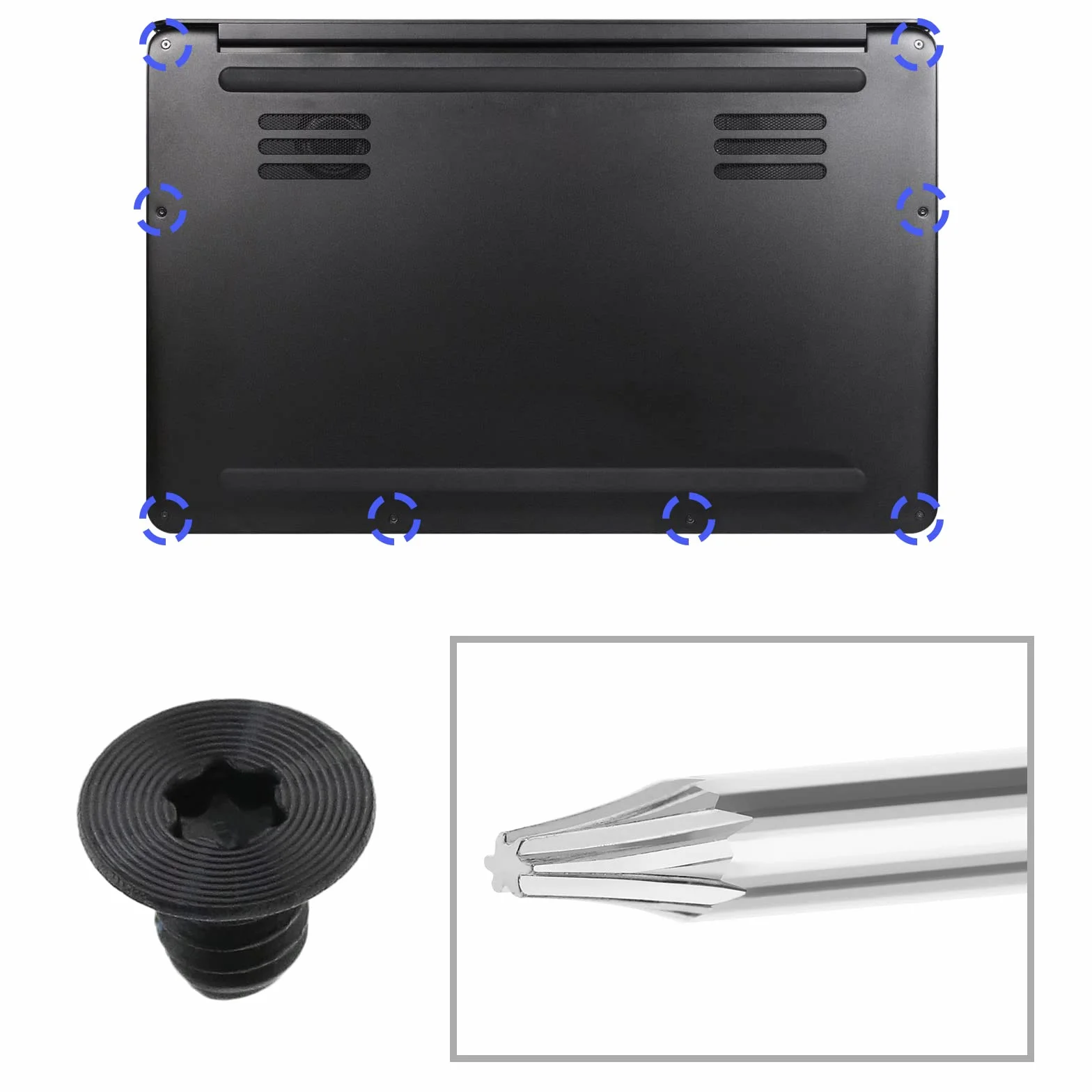 ECSiNG 20 szt. M2x3 Torx T5 śruby do dolnej obudowy laptopa ze śrubokrętem T5 Torx kompatybilne z Razer STEALTH 13,3 cala ostrze 15-calowe komponenty komputerowe ze stopu