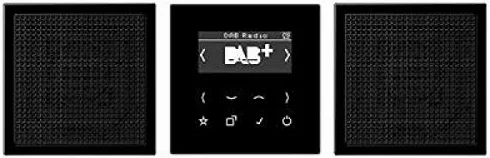 Jung DABLS2SW Smart Radio DAB+ zestaw stereo