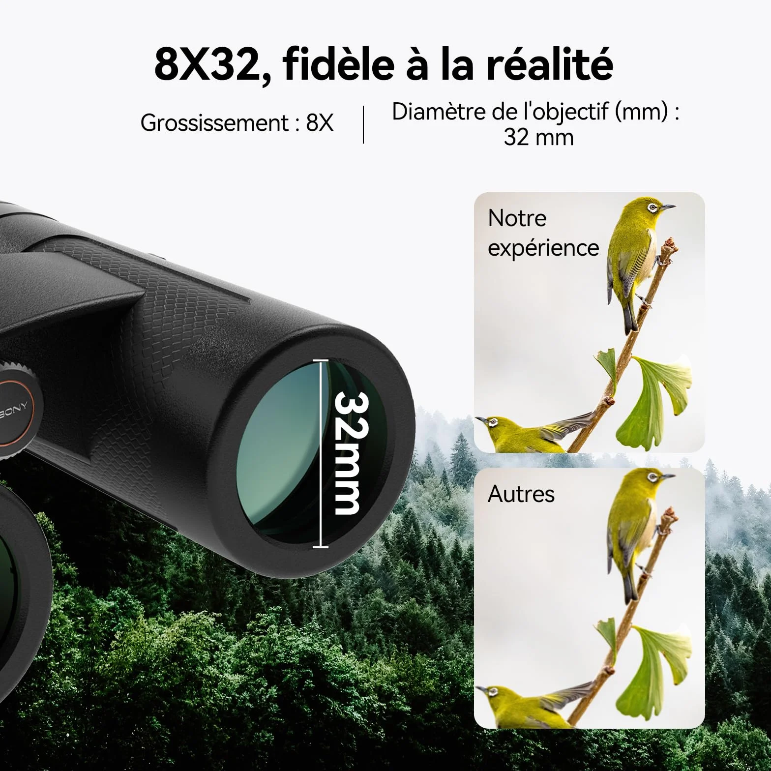 Svbony Ulepszona SV202 8x32 ED Lornetka, Soczewka BAK4 Prism FMC, IPX7 Wodoodporność, Korekcja Fazy, Powłoka Dielektryczna Prism, Szerokokątny Obiektyw dla Dorosłych, Obserwacja Ptaków, Czarna