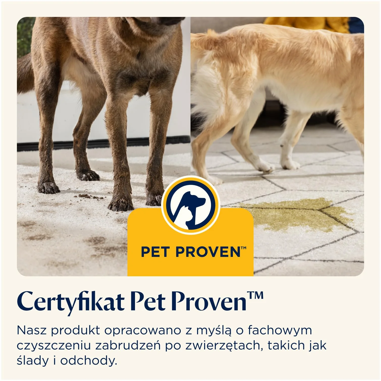 BISSELL SpotClean Pet Pro, Odkurzacz Piorący do Tapicerki, Idealny dla Właścicieli Zwierząt, Odkurzacz do Prania Dywanów, Tapicerki, Samochodów, Kanapy i Innych Powierzchni, Mocny Silnik 750W, 15585