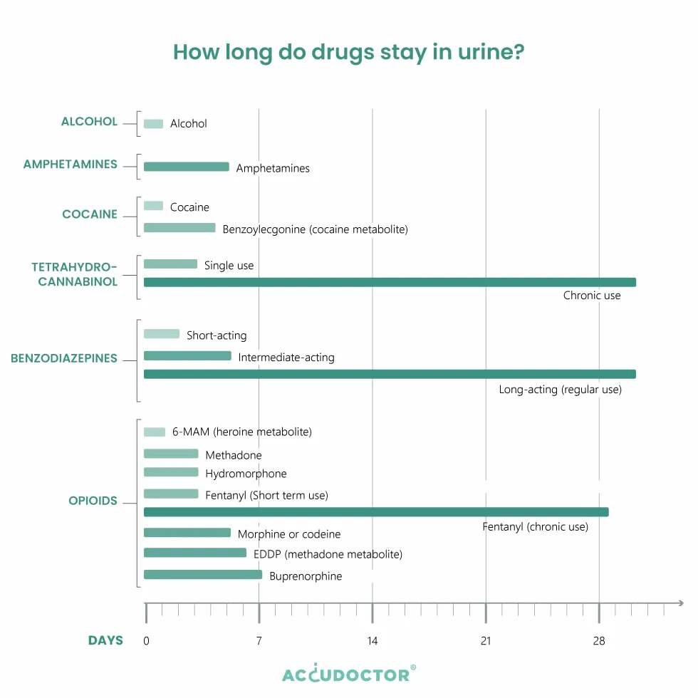 5 Accudoctor Multi Drug Test 10 narkotyków w moczu THC Konopie indyjskie Marihuana Kokaina MET MDMA Amfetamina jeden szybki pasek testowy do moczu krok wielolekowy szybki zestaw do testowania