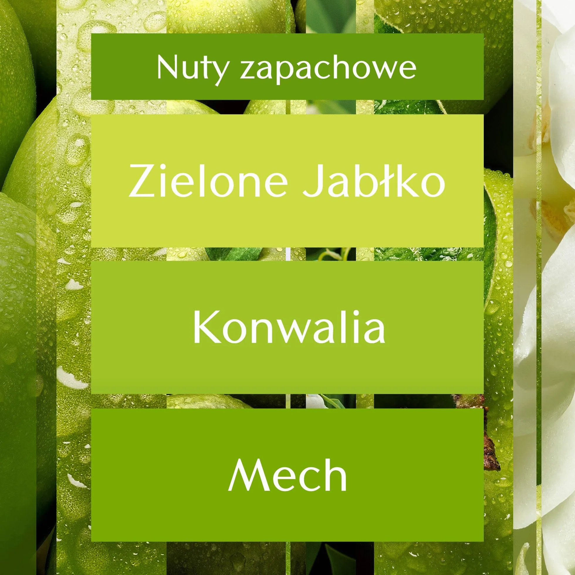 Glade Odświeżacz Powietrza w Sprayu, Eliminuje Nieprzyjemne Zapachy w Domu i Łazience, Różne Zapachy, Zestaw 4 x 300 ml