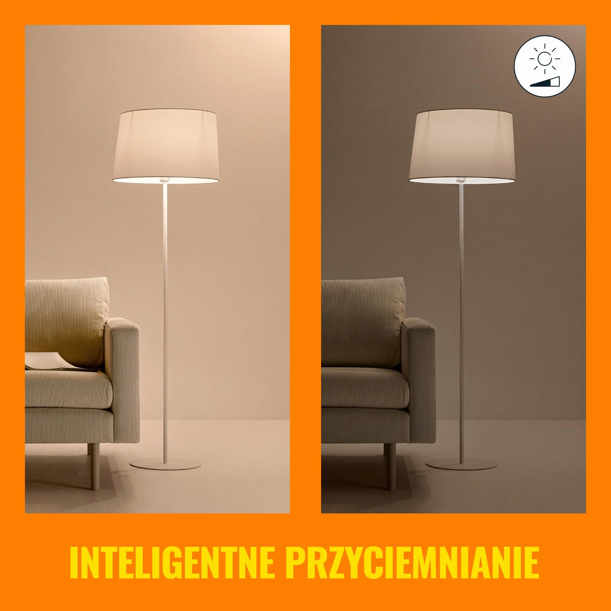 WiZ Inteligentna wtyczka Smart, Typ F, Wi-Fi, sterowanie aplikacją i głosowo, smart home
