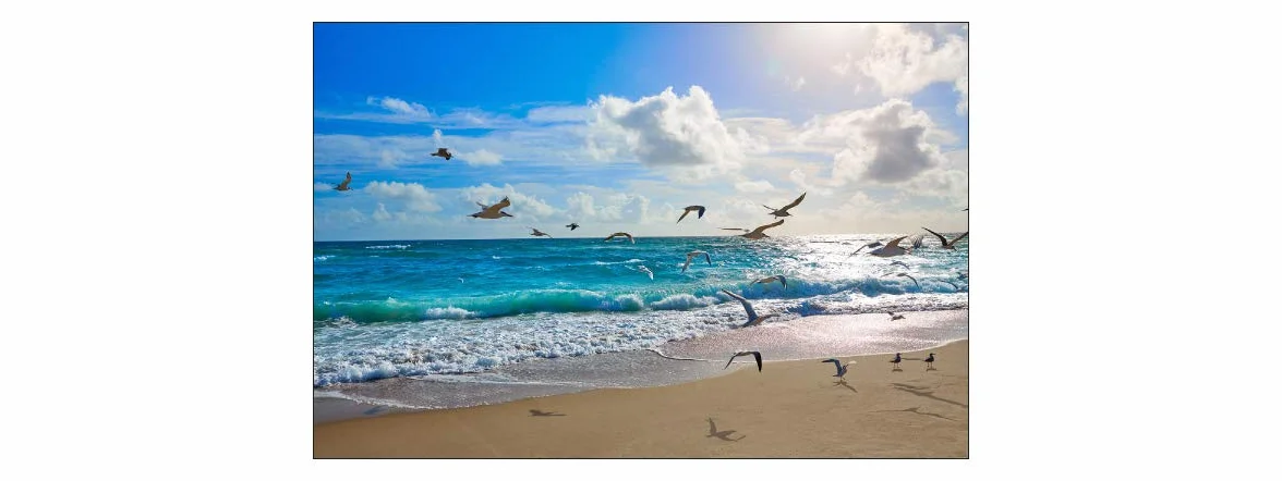 Muralo Fototapeta plażowa, 150 x 225 cm, tapeta ścienna z włókniny, morze, mewy, niebo, do salonu, sypialni, nowoczesne obrazy ścienne XXL, natura, panorama, woda, dekoracja ścienna