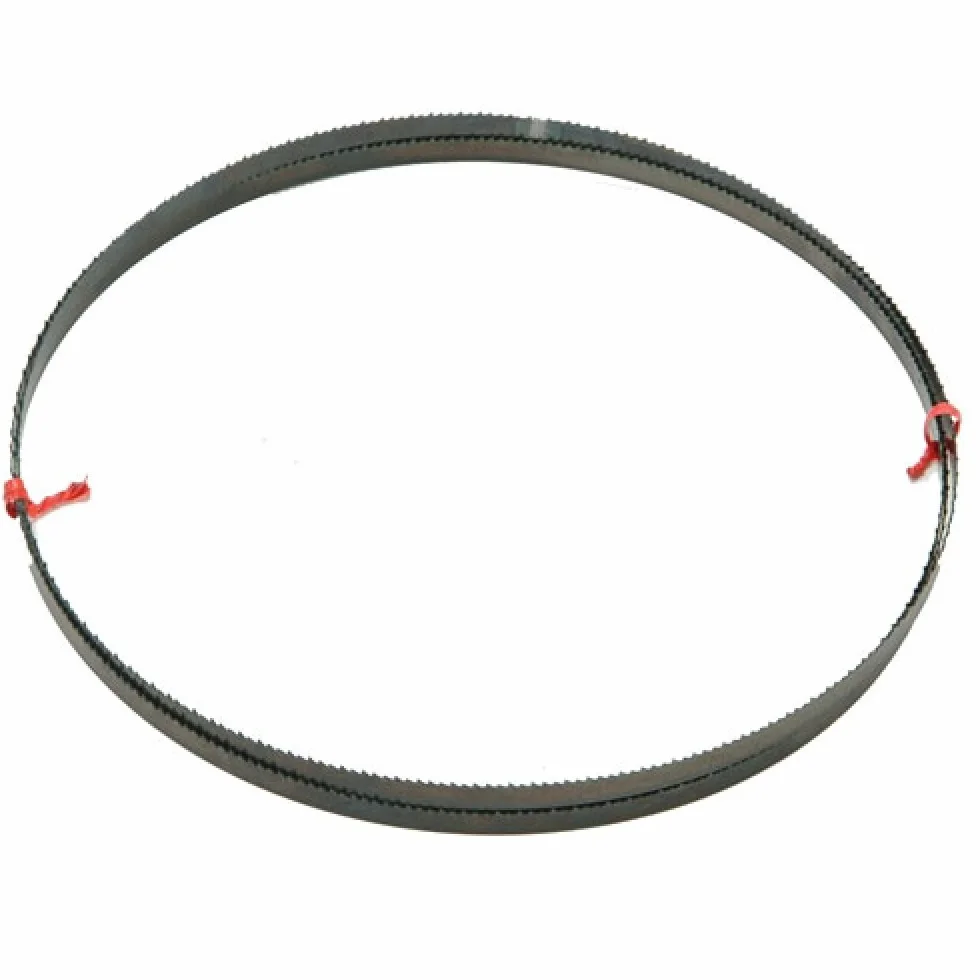 DeWalt Brzeszczoty do piły taśmowej DW 738/DW 739 (długość: 2095 mm, szerokość: 12 mm, grubość: 0,6 mm, podział zębów: 4,2 mm) DT8481