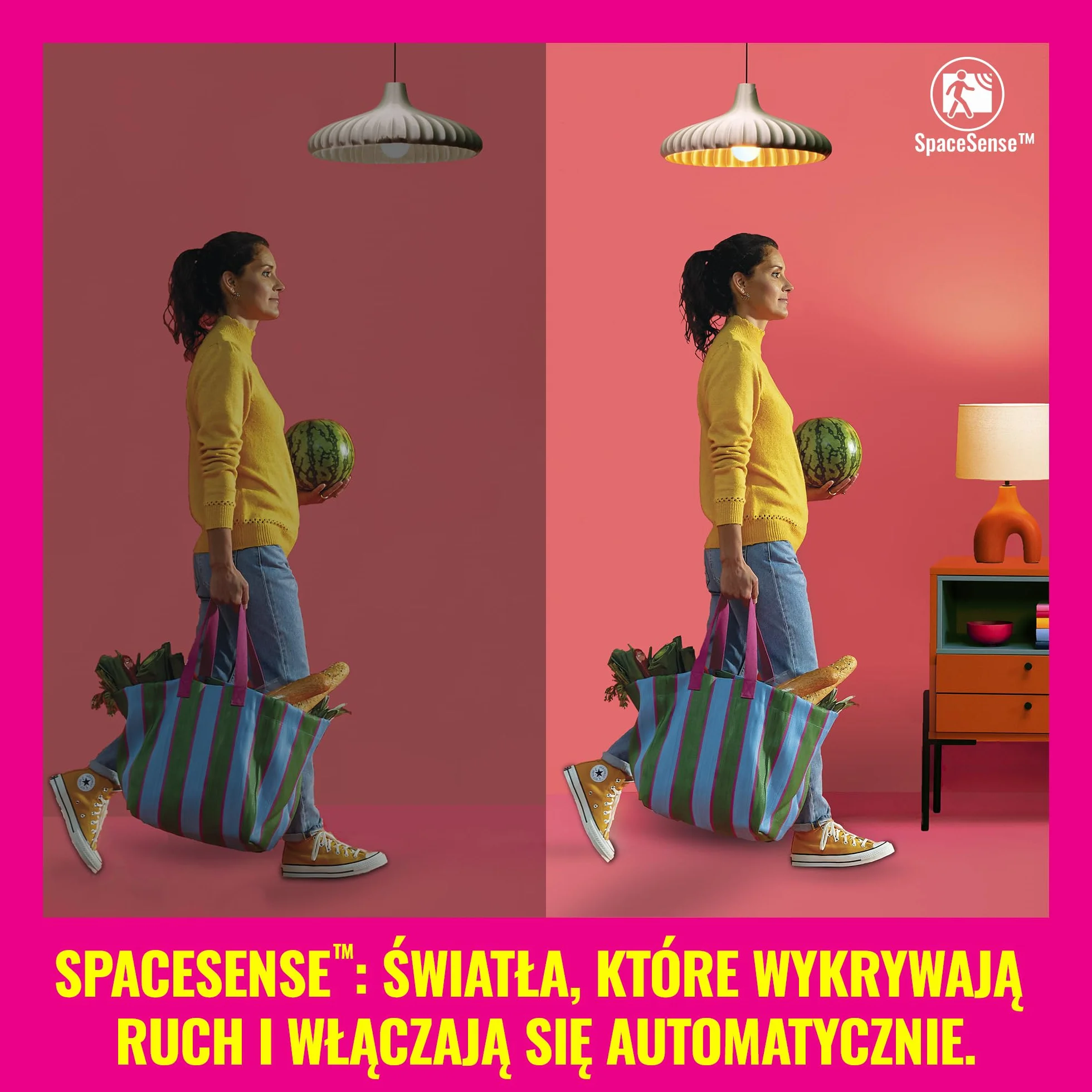 WiZ Inteligentna wtyczka Smart, Typ F, Wi-Fi, sterowanie aplikacją i głosowo, smart home