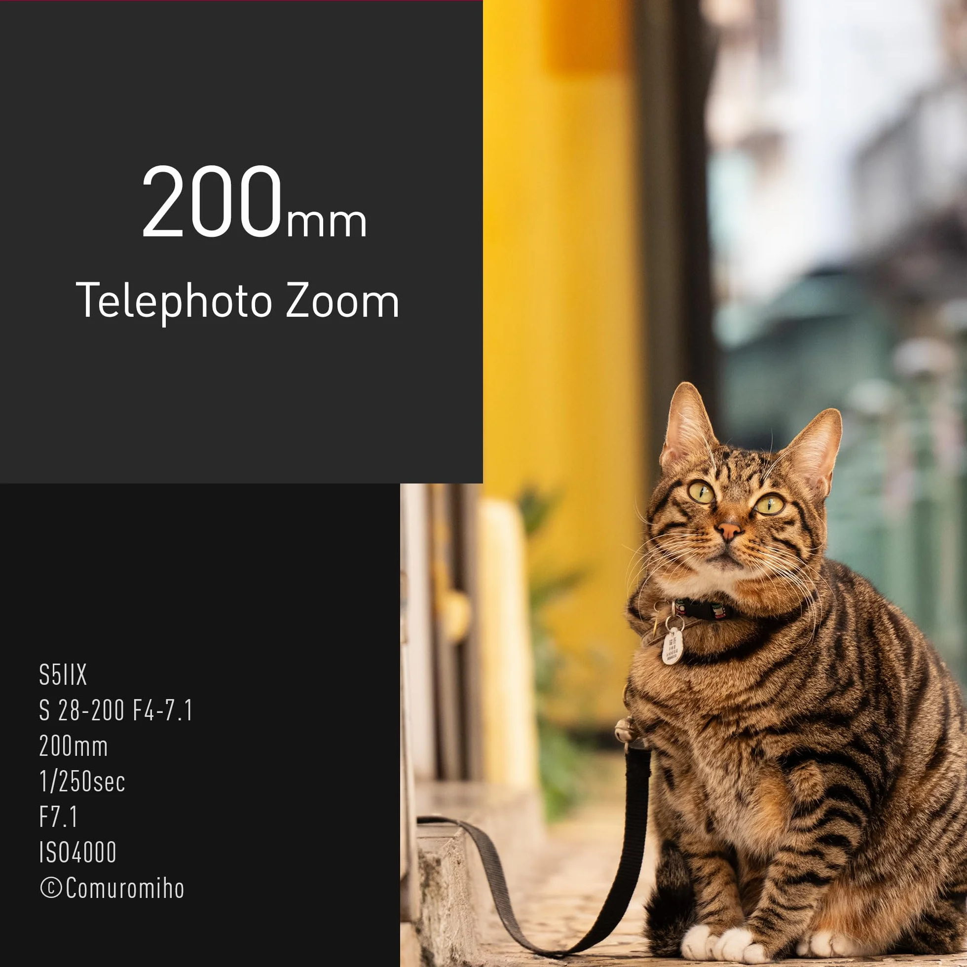 Panasonic Lumix S-R28200E 28-200mm F4.0-7.1 Obiektyw Pełnoklatkowy Zmiennoogniskowy Makro Dual IS 2 Odporny na Kurz Zachlapanie i Mróz 4K Czarny