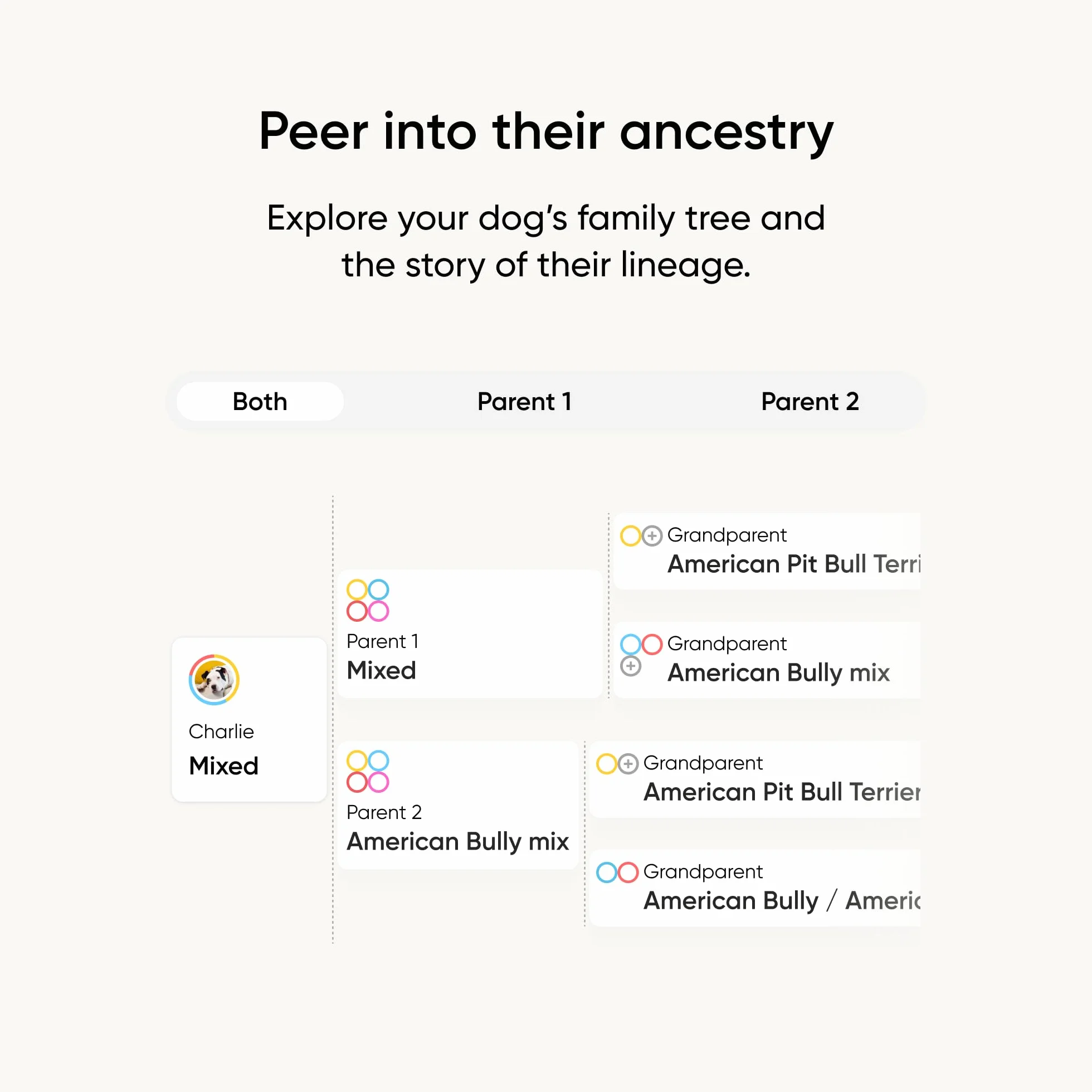 Embark Test DNA dla psów, zestaw do identyfikacji ras