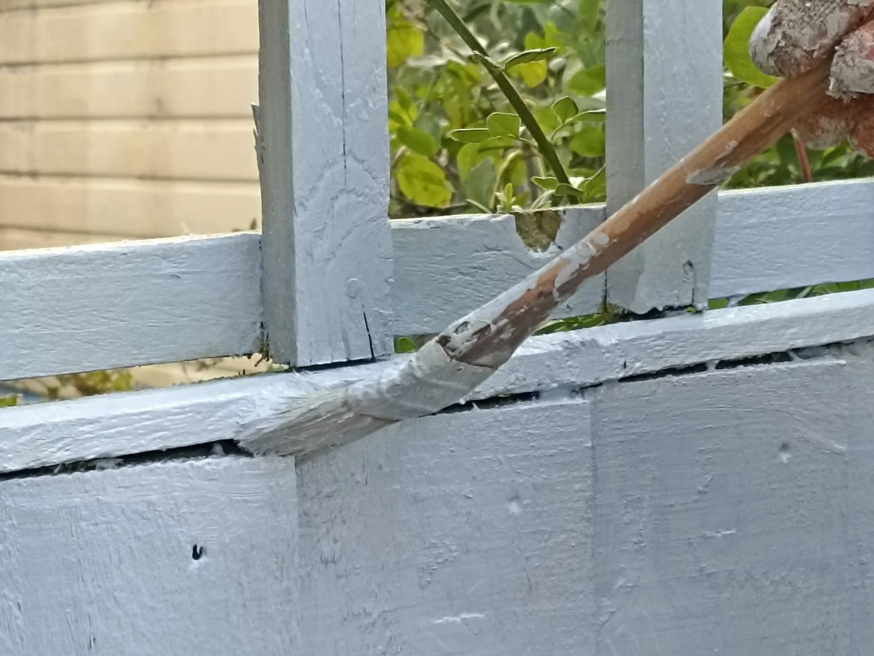 EFO Zestaw pędzli do kaloryferów, 3 sztuki, 36 mm, pędzel malarski z długim drewnianym trzonkiem, pędzel elewacyjny z ukośną głowicą