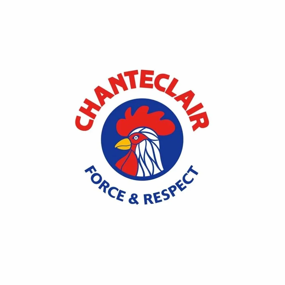 Chanteclair Odplamiacz – dodatkowa moc, odplamiacz na uporczywe plamy, z prawdziwym odtłuszczaczem, skuteczny przy pierwszym praniu – 375 ml