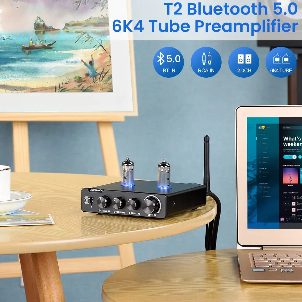 AIYIMA T2 6K4 przedwzmacniacz próżniowa rura Bluetooth 5.0 Hi-Fi stereo aptX