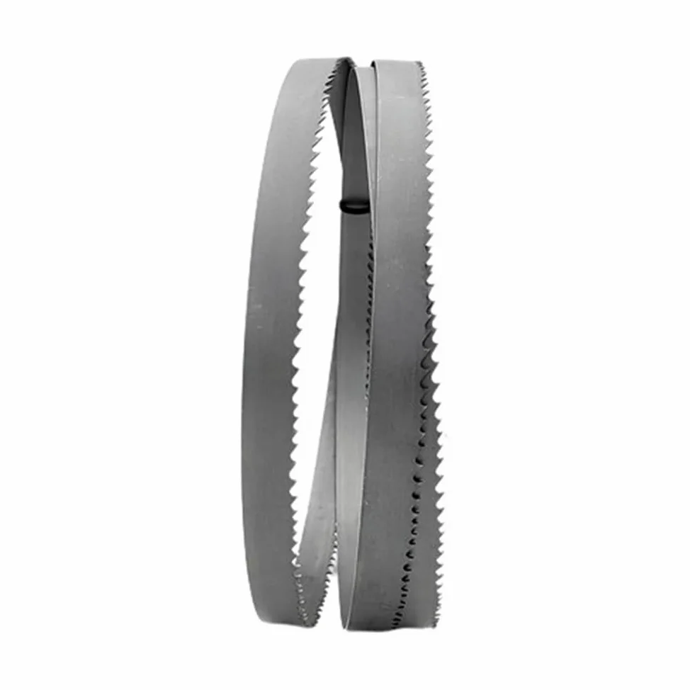 Brzeszczot piły, Brzeszczot taśmowy 13x0,6 mm, 1/2'' bimetaliczny, 6TPI, wielodługościowy, M42, do cięcia twardego drewna i metalu(1750mm)