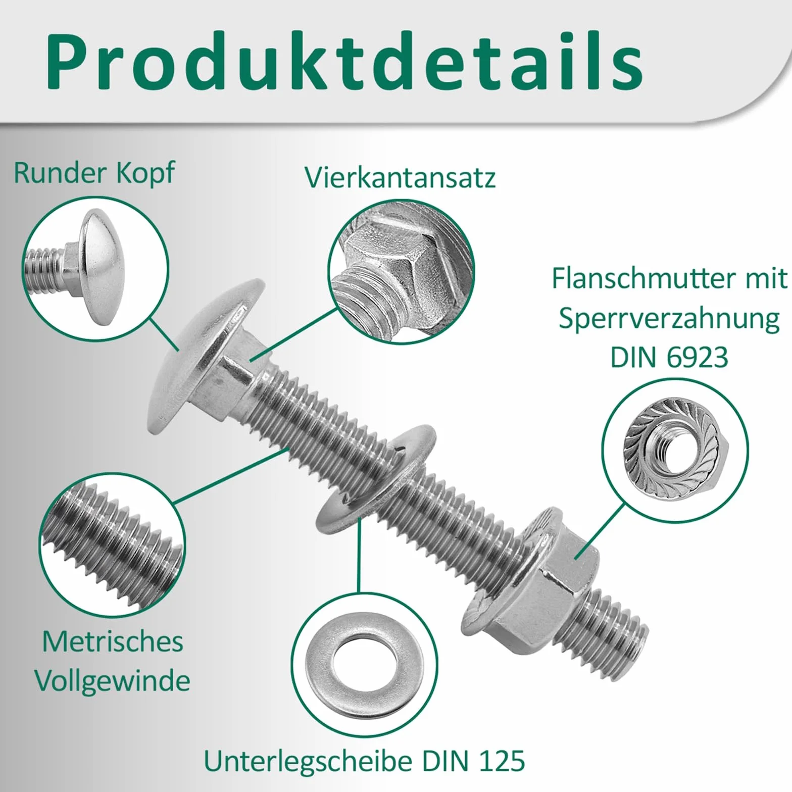 DSM – śruby zamkowe M12 x 25 mm zgodnie z DIN 603 – nakrętka kołnierzowa M12 z zębami blokującymi DIN 6923 i podkładką DIN 125 – stal nierdzewna A2/V2A – śruby z łbem płaskim – nakrętka sześciokątna