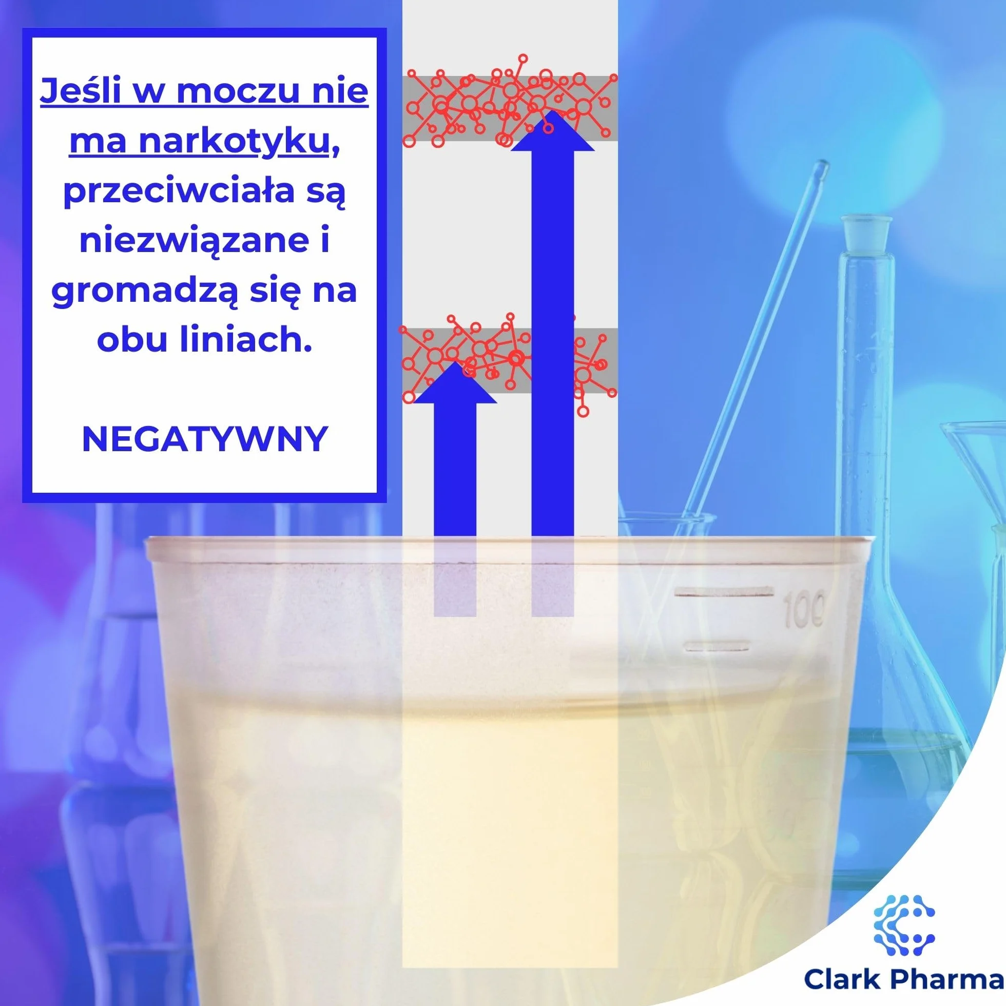 20 x Testy Paskowe na Amfetaminę | Testy Moczowe na Amfetaminę | Zestaw do Wykrywania Narkotyków typu Speed i Uppers
