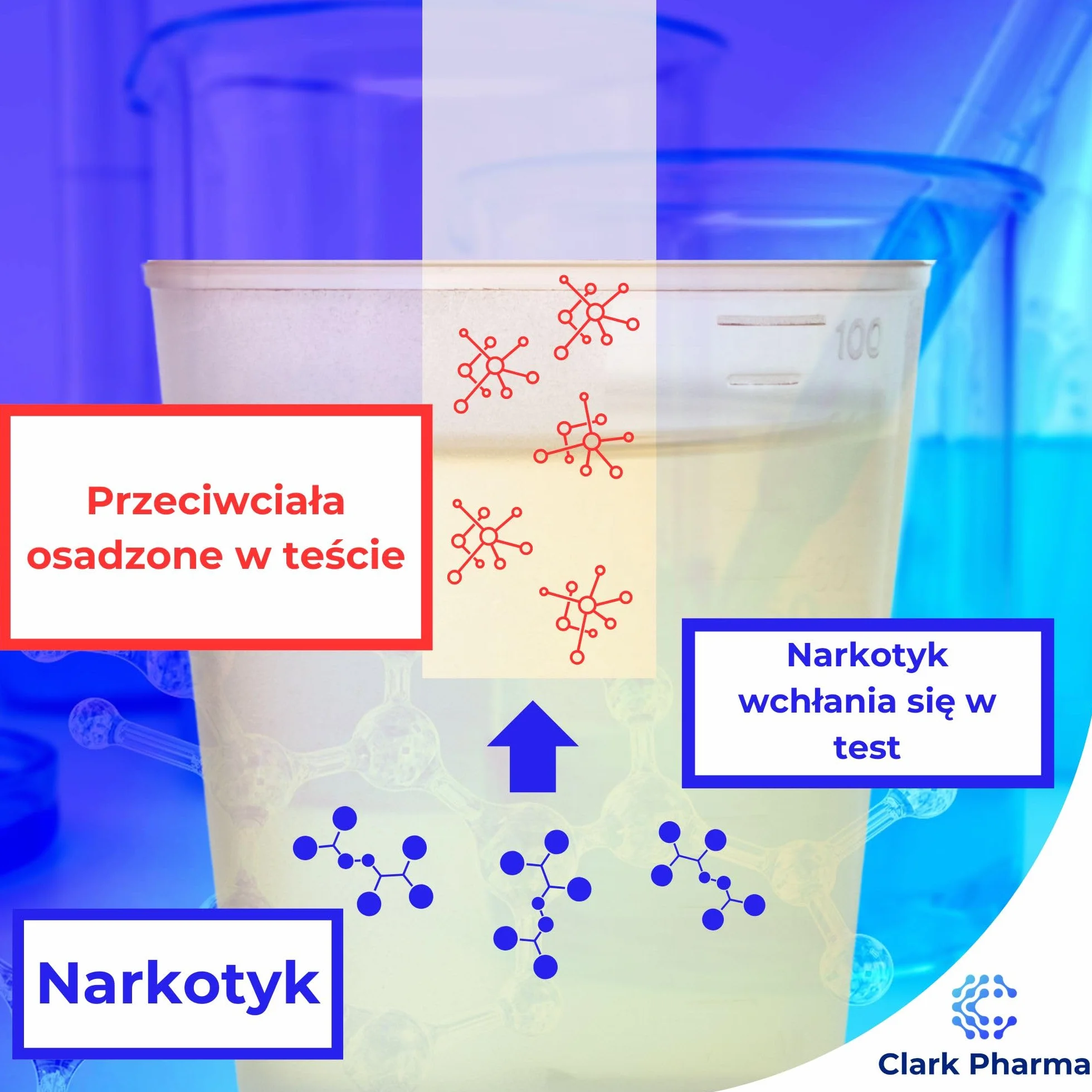 20 x Testy Paskowe na Amfetaminę | Testy Moczowe na Amfetaminę | Zestaw do Wykrywania Narkotyków typu Speed i Uppers