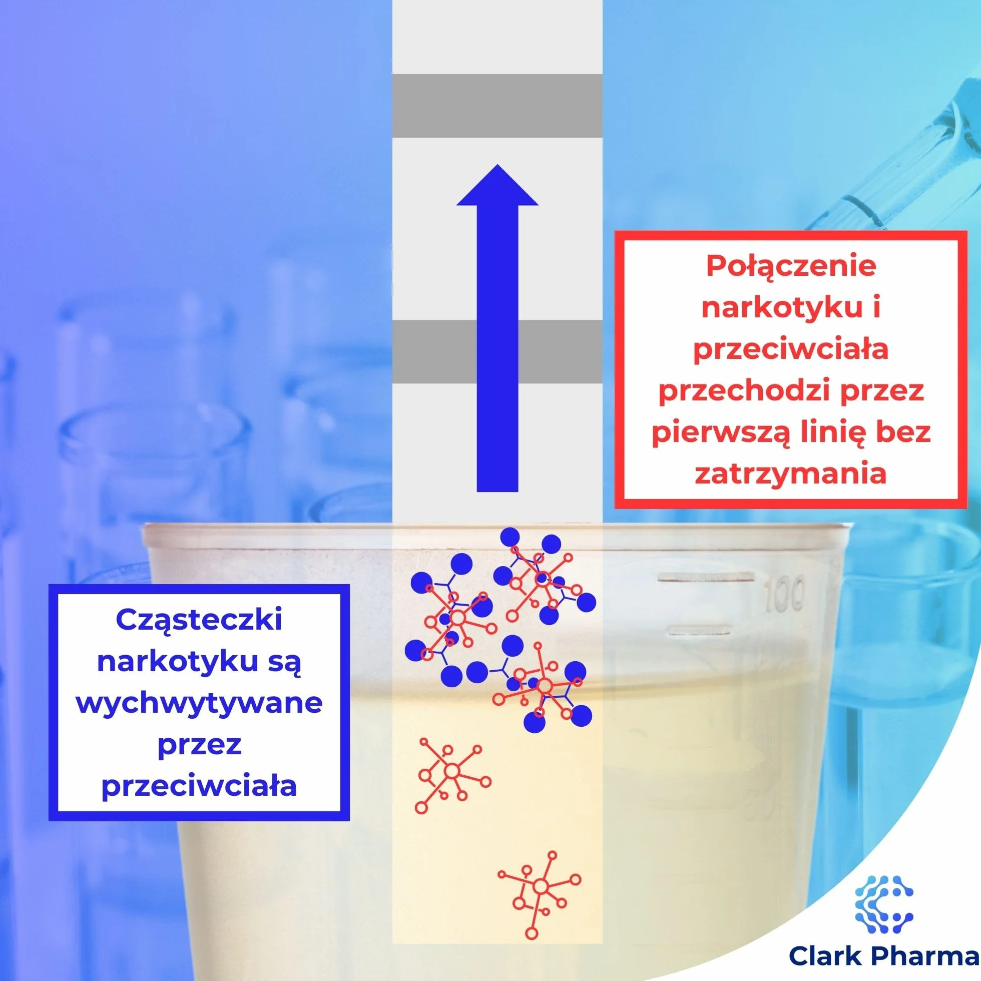 20 x Testy Paskowe na Amfetaminę | Testy Moczowe na Amfetaminę | Zestaw do Wykrywania Narkotyków typu Speed i Uppers