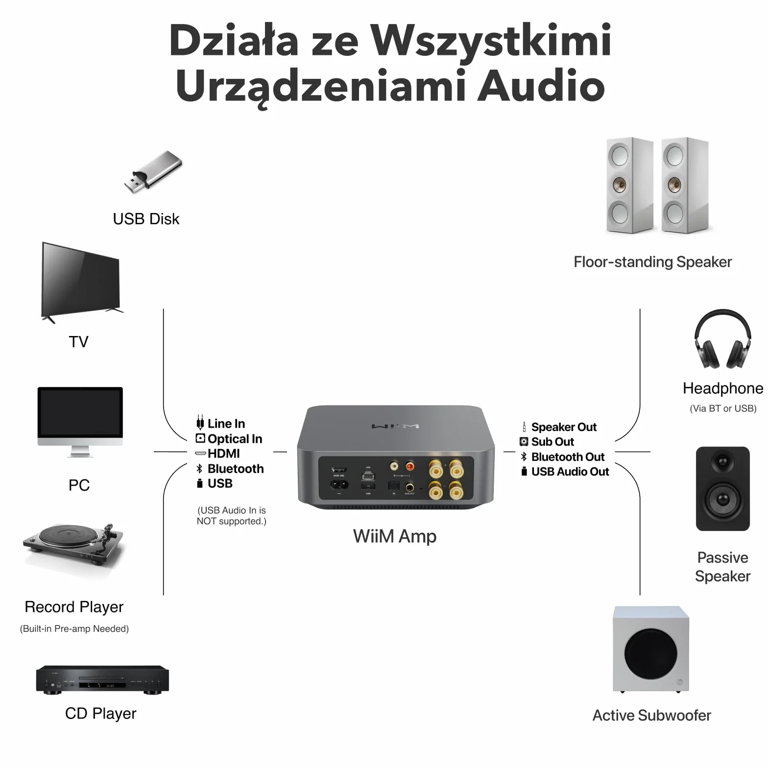 WiiM Amp Wzmacniacz Strumieniowy Multiroom AirPlay Google Cast Alexa HDMI Sterowanie Głosowe Space Grey