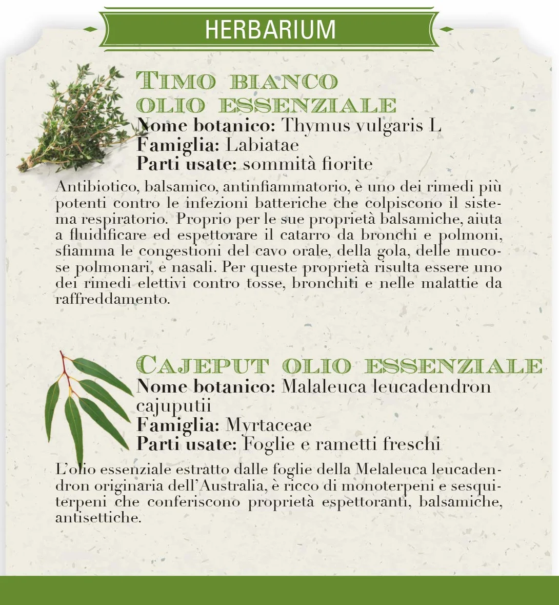 Helan, Środki zaradcze, kojąca maść balsamiczna, odżywka do szybkiej ulgi w oddychaniu i nocnym odpoczynku z olejkami eterycznymi z tymianku, mięty pieprzowej, olejkiem ze słodkich migdałów i witaminą