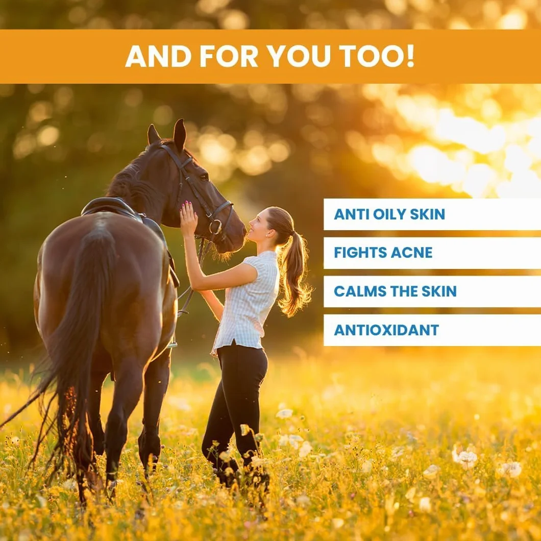 Pferdebalsam Żel Arnica Montana 90% Szybkie działanie 100% Naturalny Ziołowy Środek Uśmierzający Ból Przeciwzapalny Środek Przeciwbólowy Sport Żel Arnica Montana i Aloe Vera Konie - 1000 g
