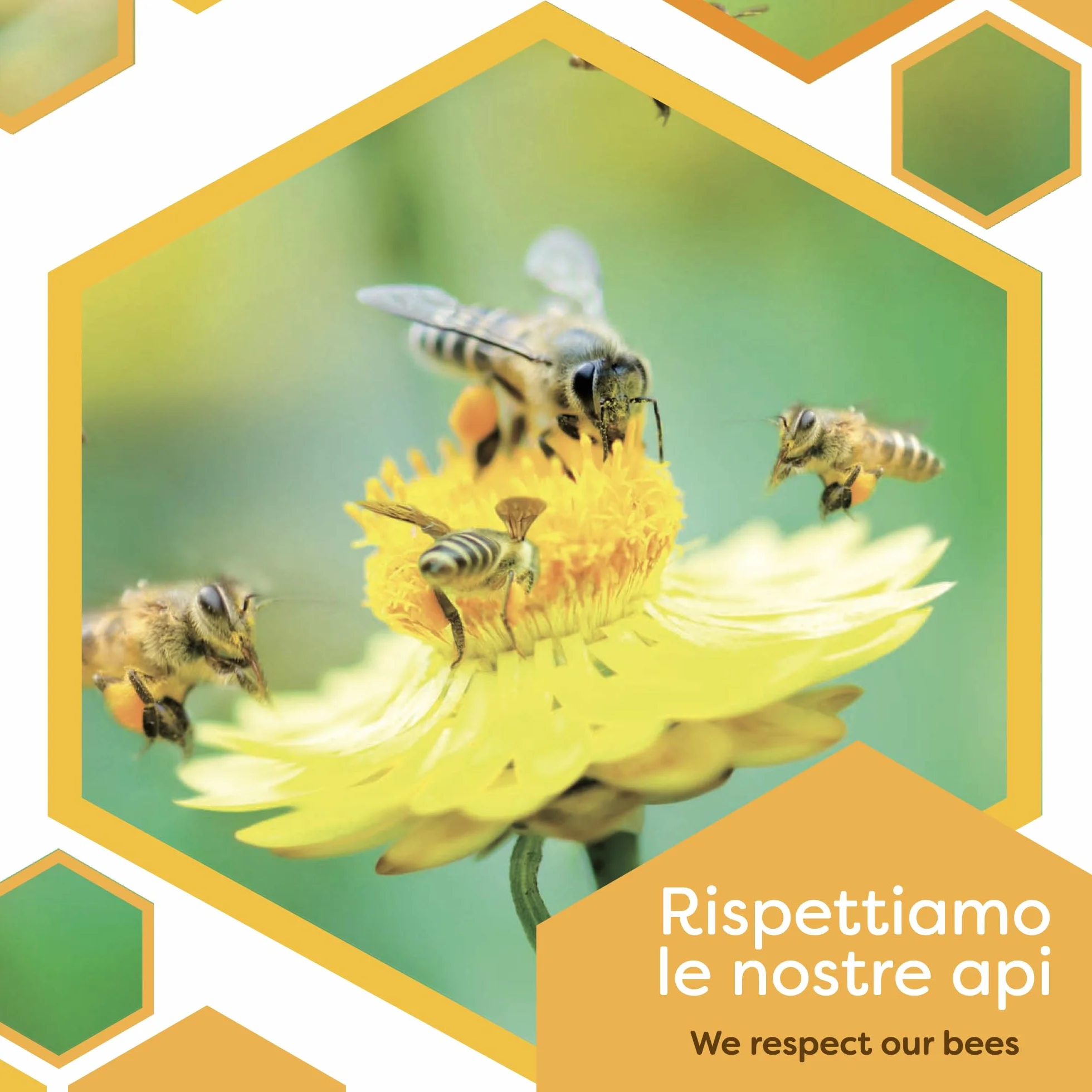 ERBOTECH Propolis (propolis) z zakraplaczem 30 ml, nalewka macierzysta, czysty ekstrakt, naturalny środek na ból gardła, przyczynia się do dobrego samopoczucia górnych dróg oddechowych