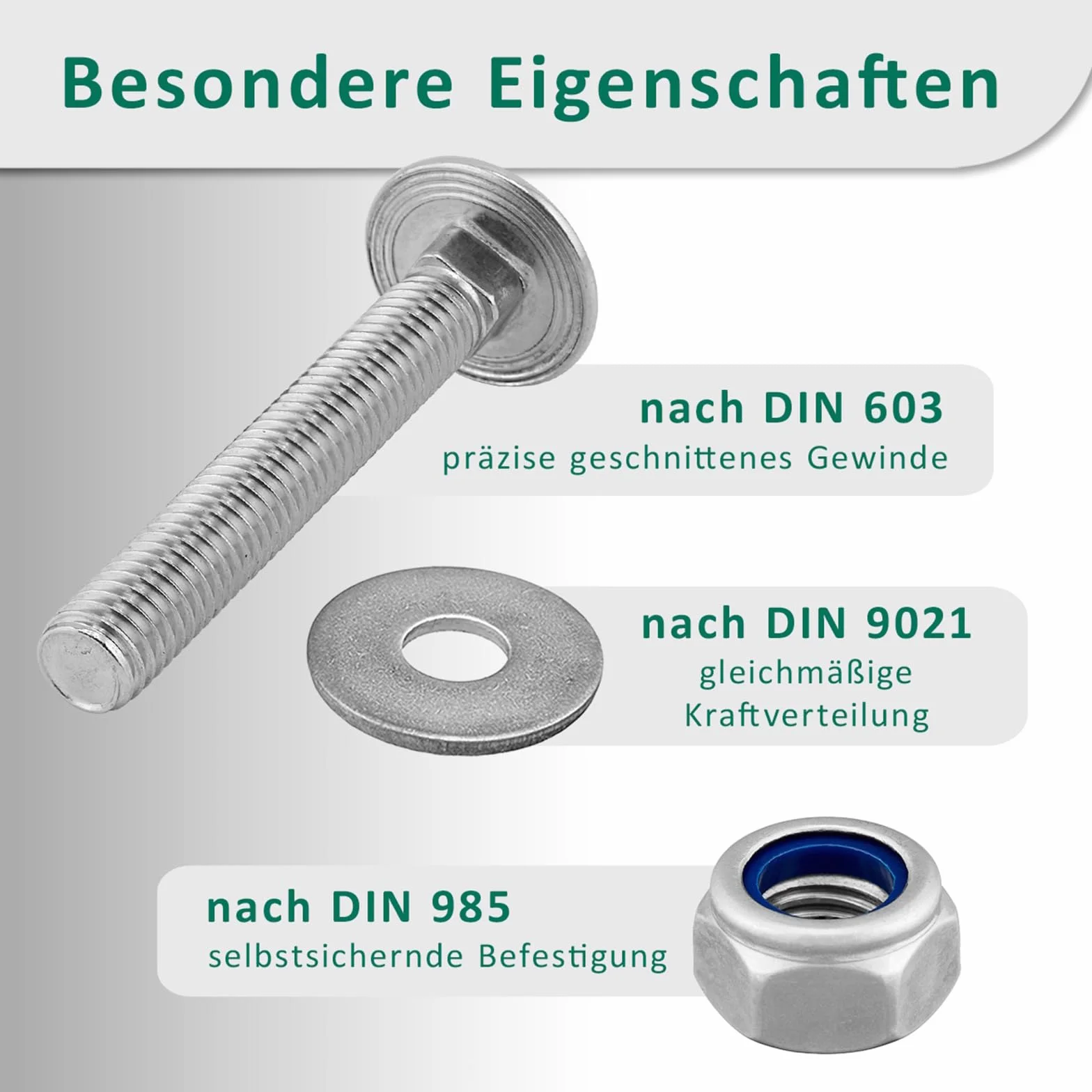 DSM – śruby zamkowe M8 x 45 mm zgodnie z DIN 603 – nakrętka zabezpieczająca M8 DIN 985 i podkładka DIN 9021 – stal nierdzewna A2/V2A – śruby z łbem płaskim z nasadką czworokątną – nakrętki stoperowe