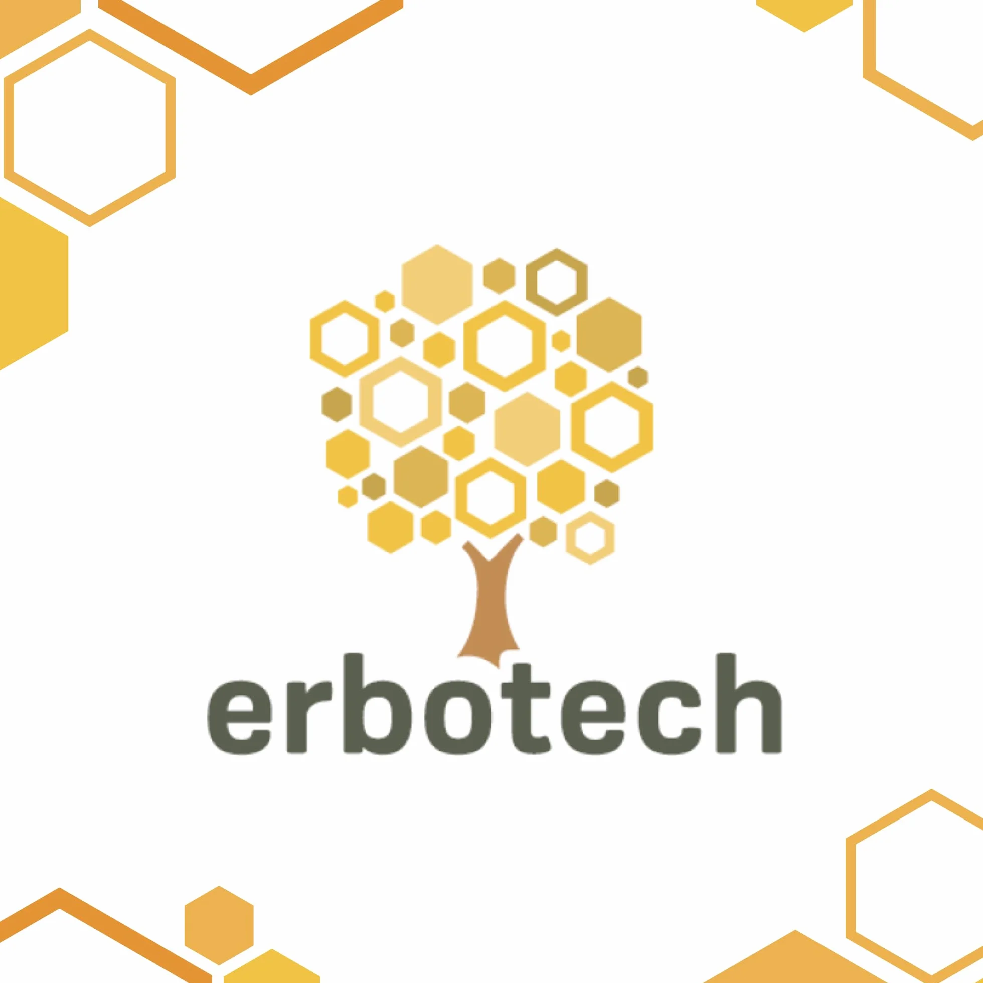 ERBOTECH Propolis (propolis) z zakraplaczem 30 ml, nalewka macierzysta, czysty ekstrakt, naturalny środek na ból gardła, przyczynia się do dobrego samopoczucia górnych dróg oddechowych