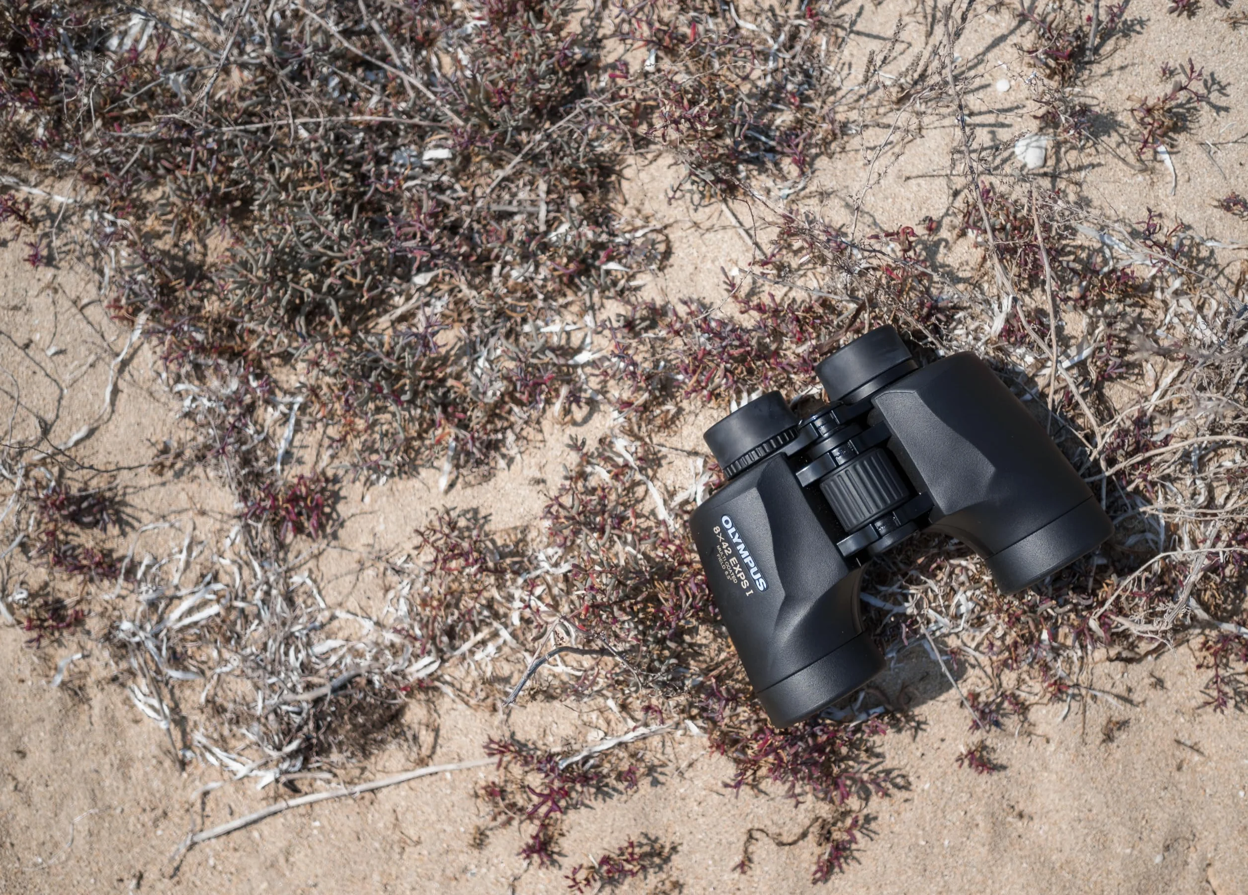 Olympus Lornetka 8x42 EXPS I BaK-4 Wodoszczelna Wielowarstwowe Soczewki