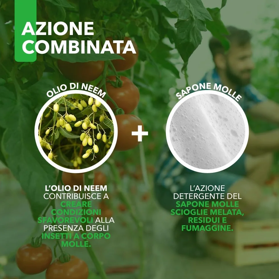 Combi Spray olejek neem + mydło miękkie potasowe - wzmacniacz obrony roślin, naturalny organiczny 750 ml
