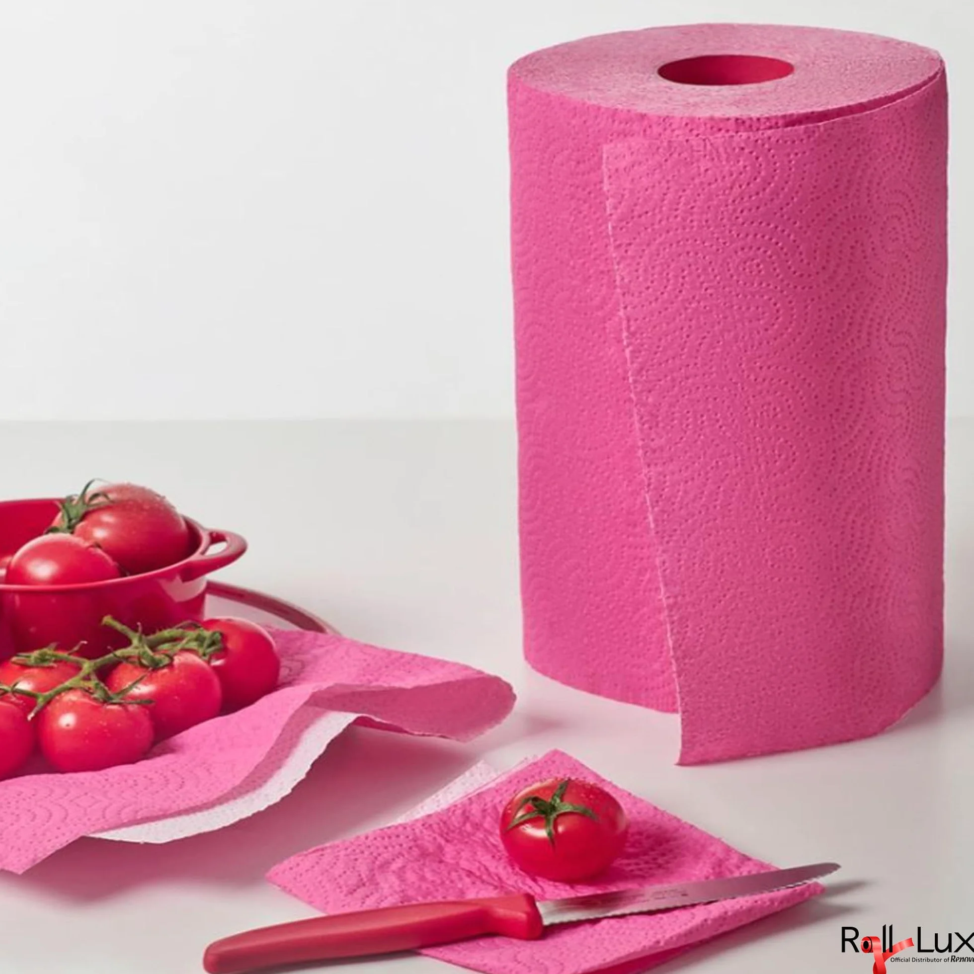 Renova Ręcznik Papierowy, 120 Listków