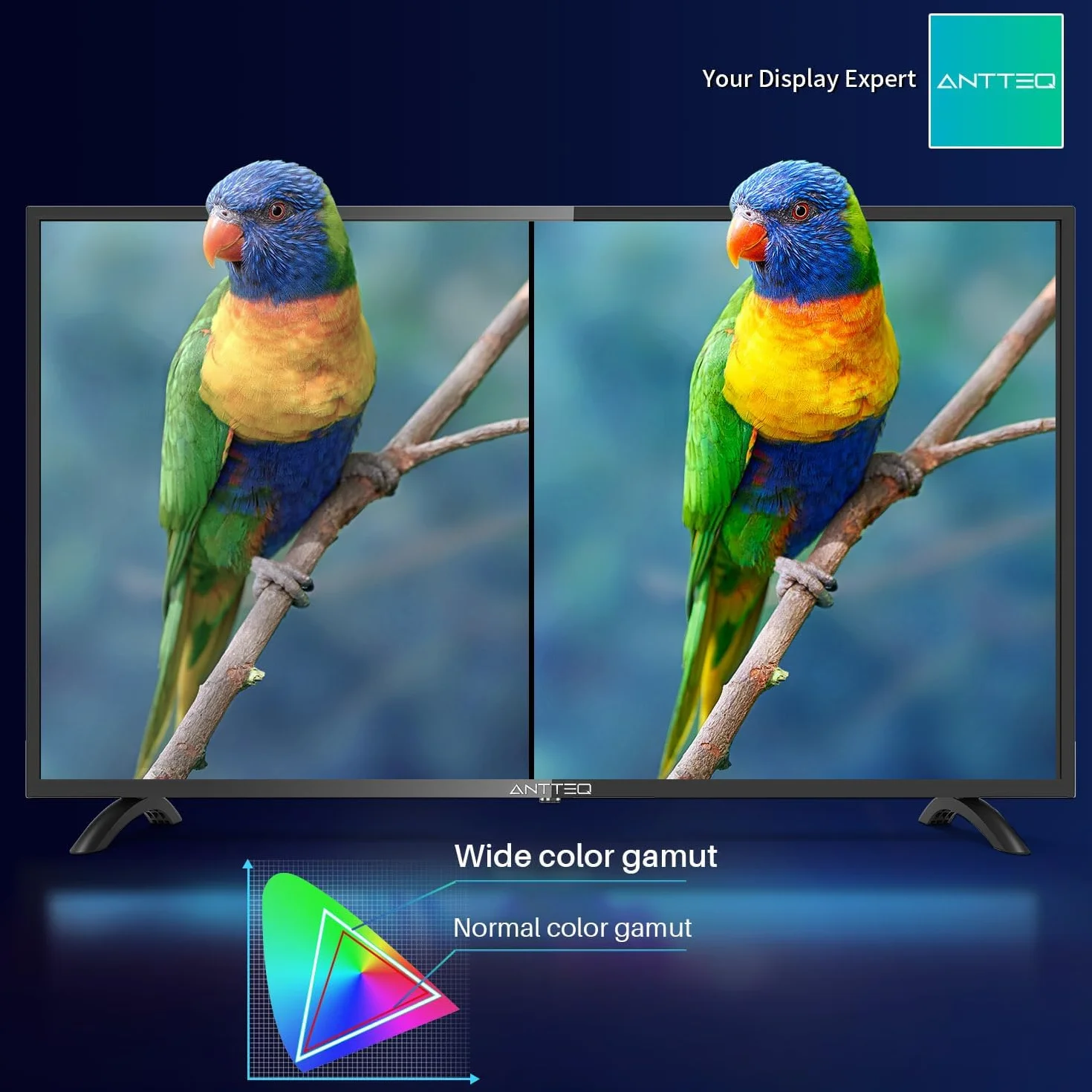 Antteq 42-calowy telewizor FHD AB42D1,107cm, Dolby Audio, LED, potrójny tuner DVB-C/T2/S2, CI+, HDMI, odtwarzacz multimedialny USB, cyfrowe wyjście audio, tryb hotelowy [klasa energetyczna F]
