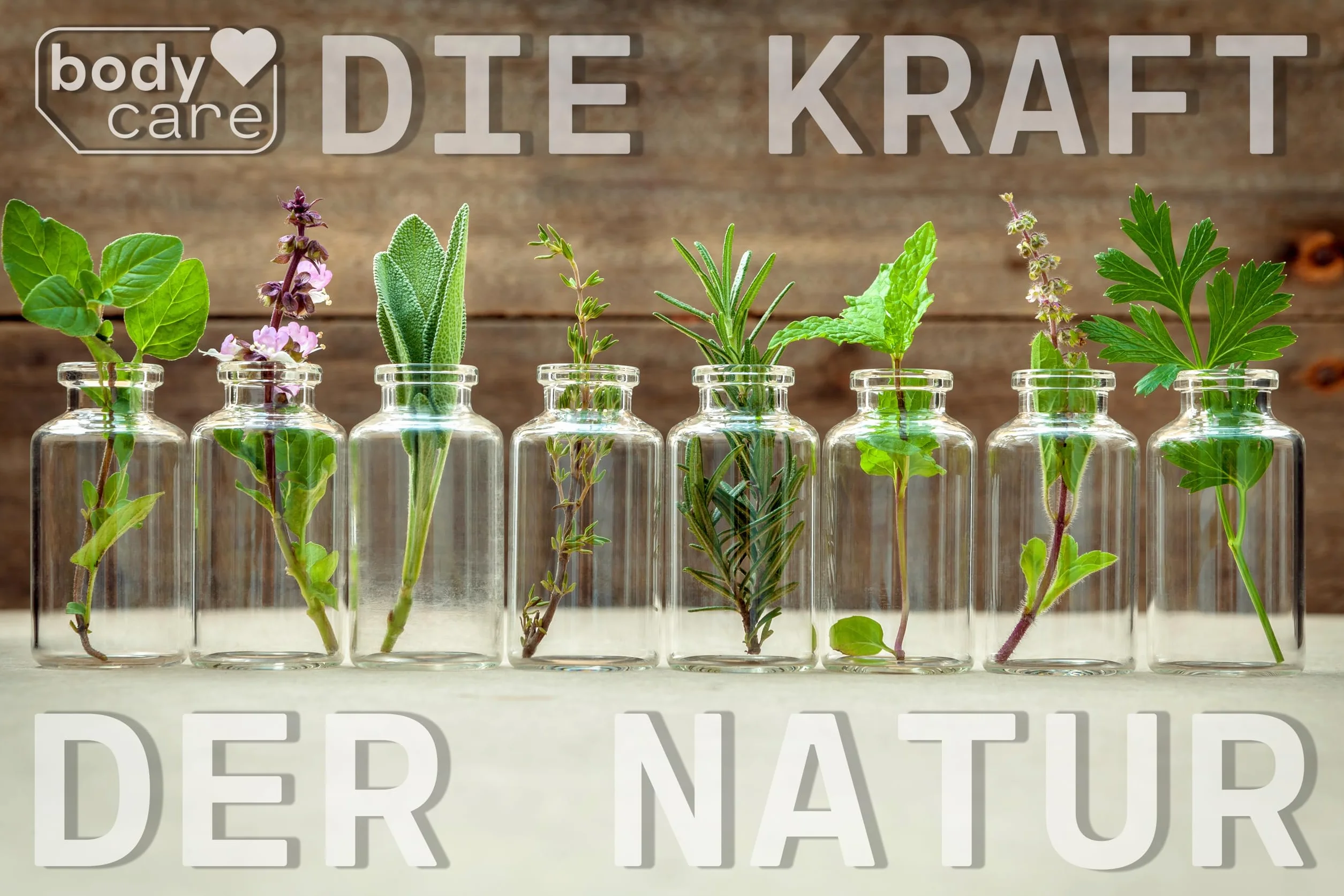 Thuja D6 I Z miłości do siebie I wszechstronne zastosowanie tui łączy w sobie z energią, moc natury!