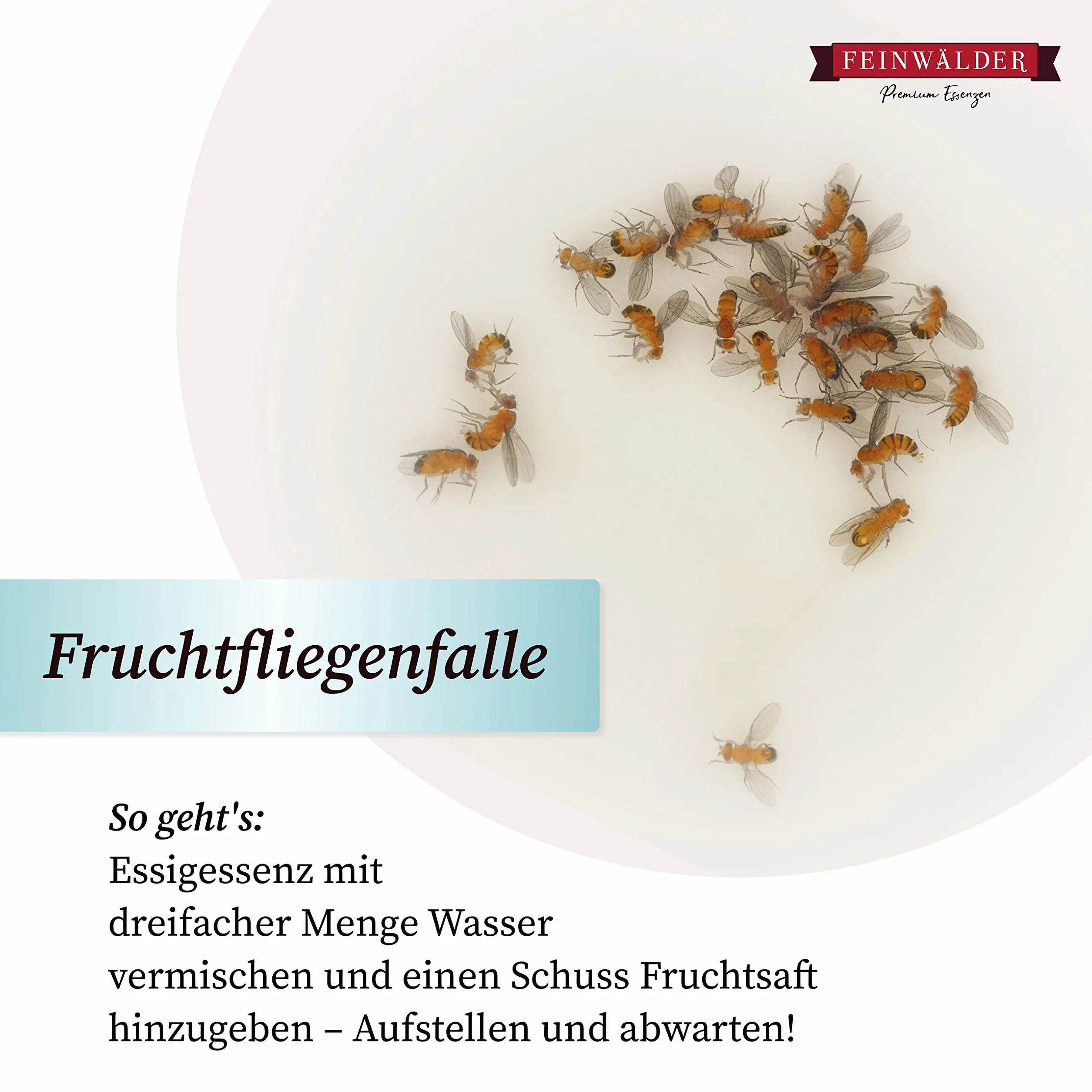 Feinwalder esencja octowa 25% kwasu w kanistrze 5 kg | biały ocet | naturalny środek do czyszczenia octu i odkamieniacz I ocet (1 szt.)