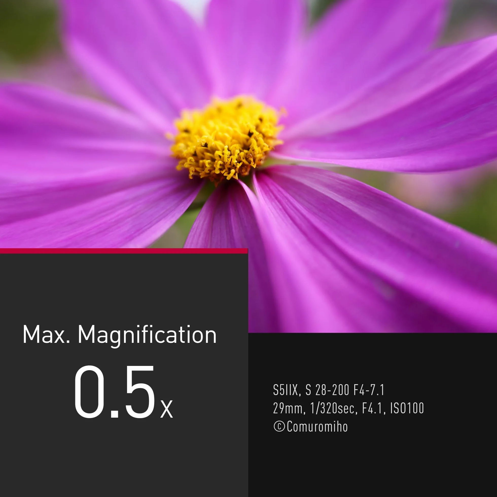 Panasonic Lumix S-R28200E 28-200mm F4.0-7.1 Obiektyw Pełnoklatkowy Zmiennoogniskowy Makro Dual IS 2 Odporny na Kurz Zachlapanie i Mróz 4K Czarny